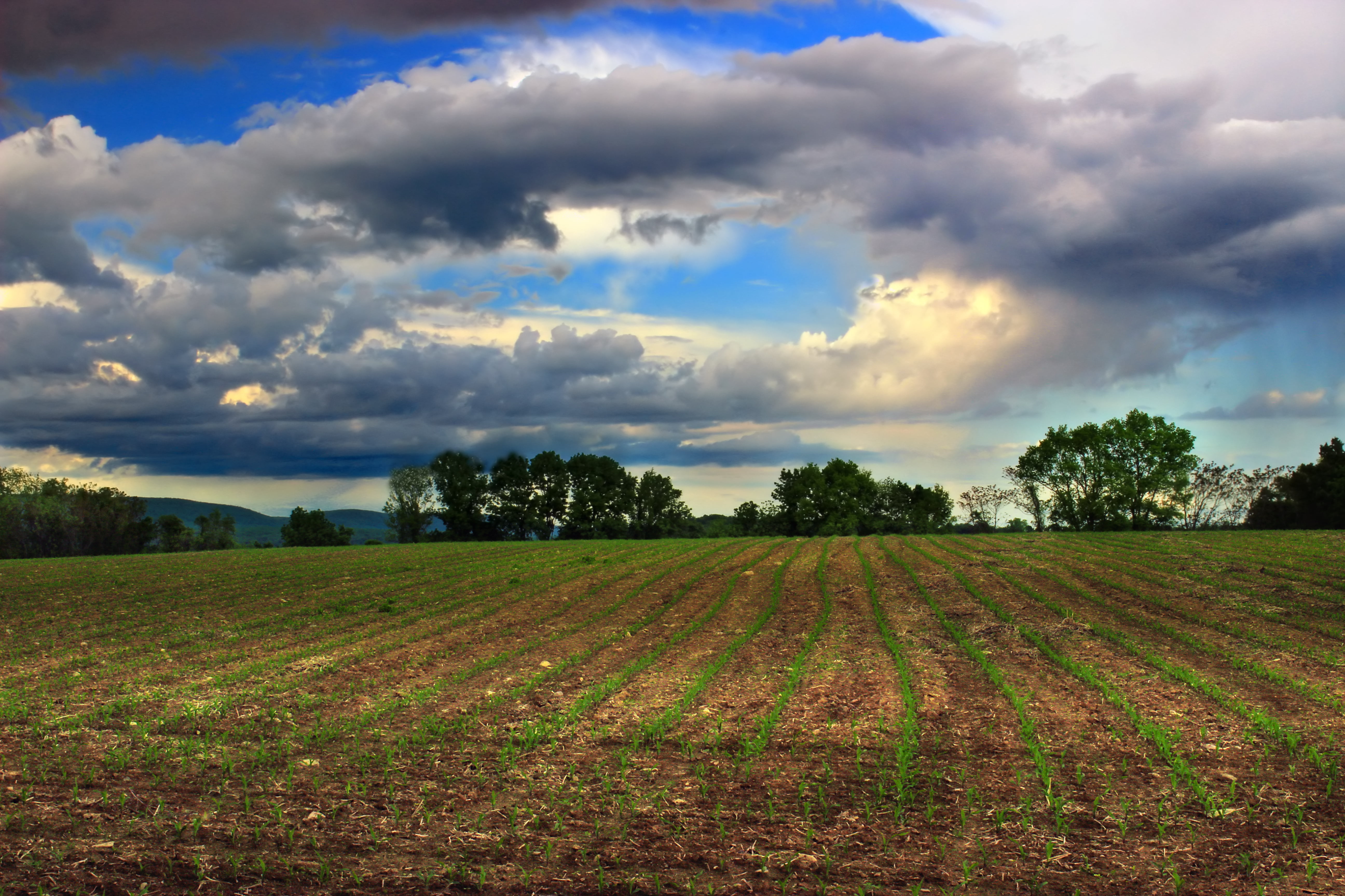 tree, season, cloud - Sky, Wildlife Management Area, Revisit, scenics, clouds, land, New Jersey, hiking, Columbia, hills, spring, rice field, creative commons, HD Wallpaper