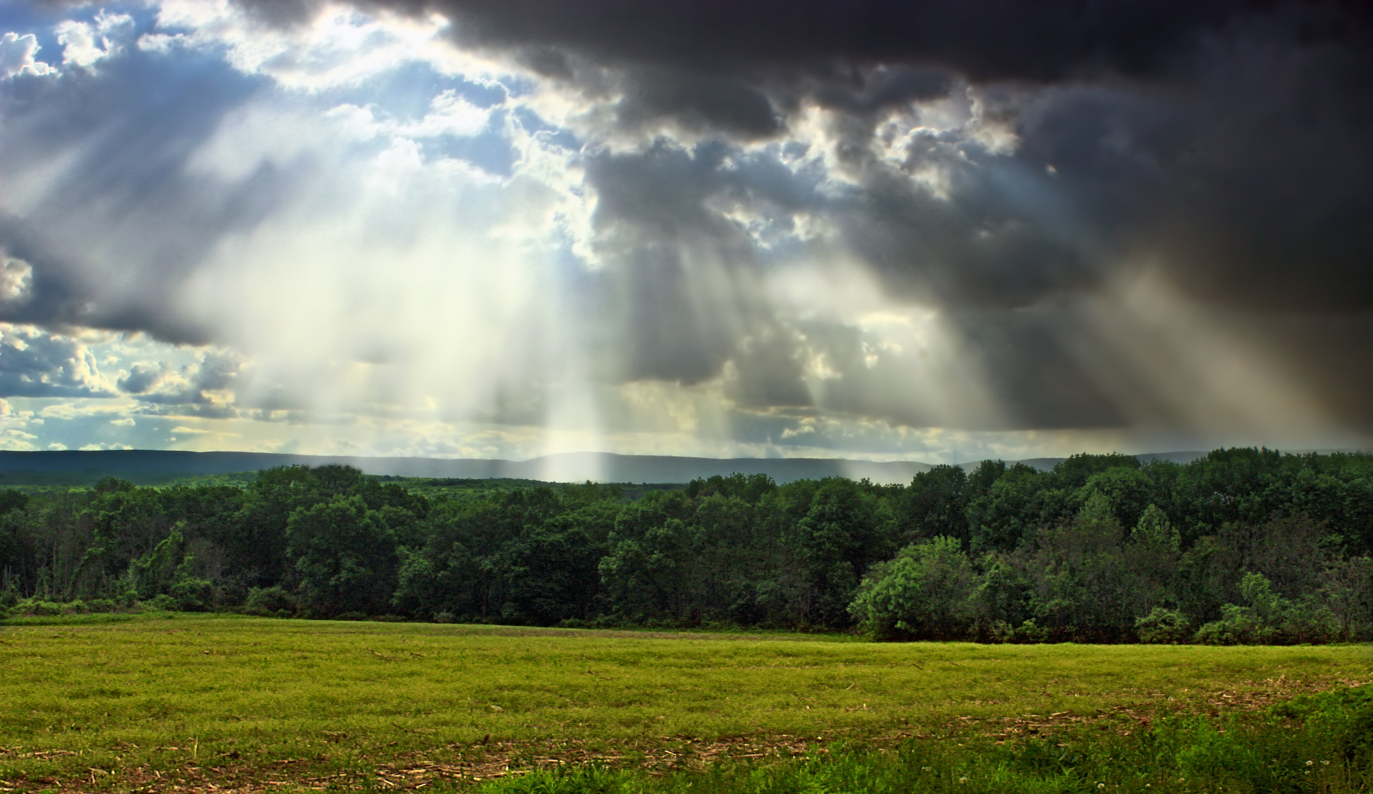green, New Jersey, stratocumulus, Wildlife Management Area, landscape, hills, daytime, nature, weather, blue, rural, tree, grasses, hiking, Knowlton Township, HD Wallpaper