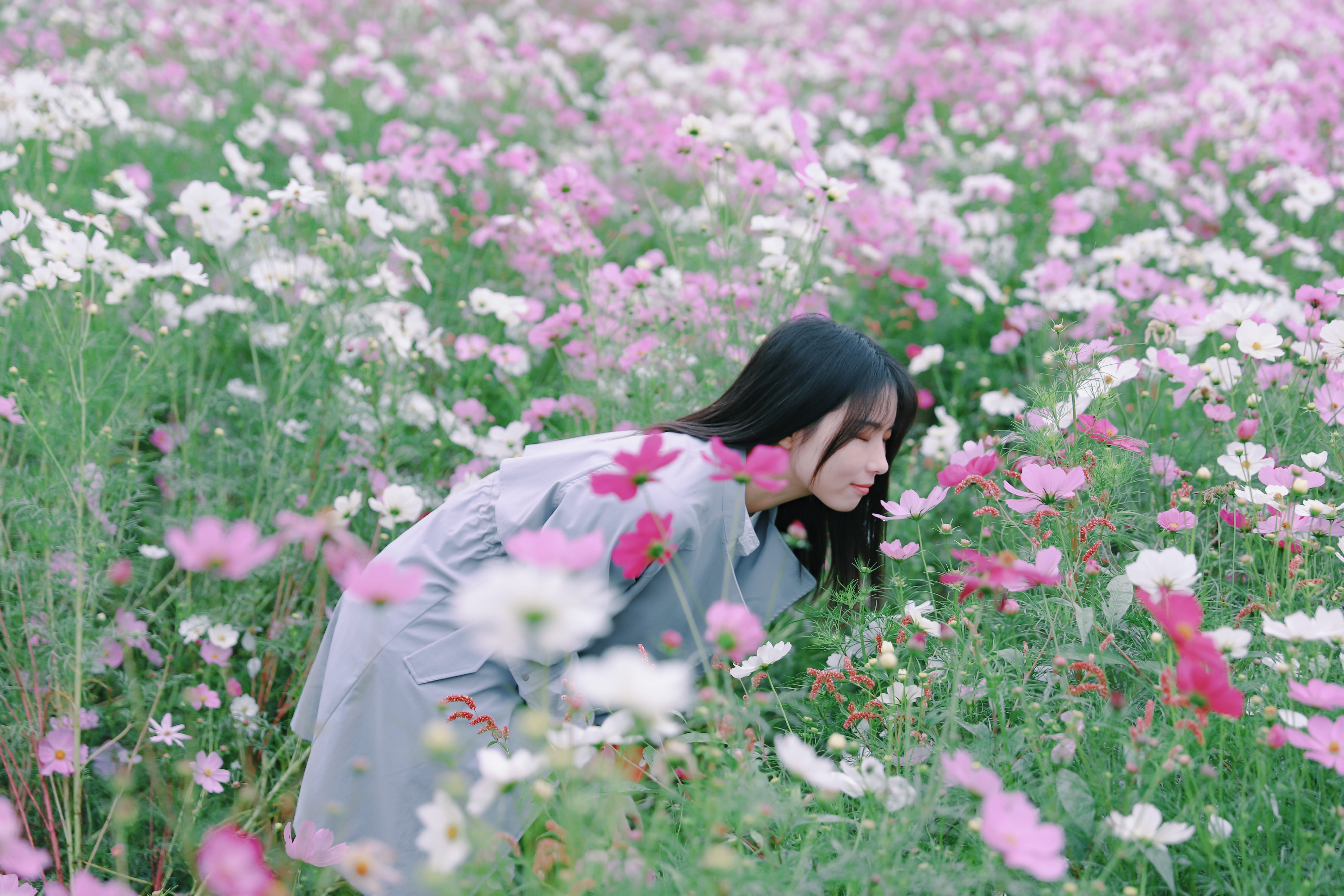 one person, pottery, field, flower, nature, potted plant, leisure activity, woman, cosmos, vase, graden, person, planter, portrait, outdoors, human, young adult, HD Wallpaper