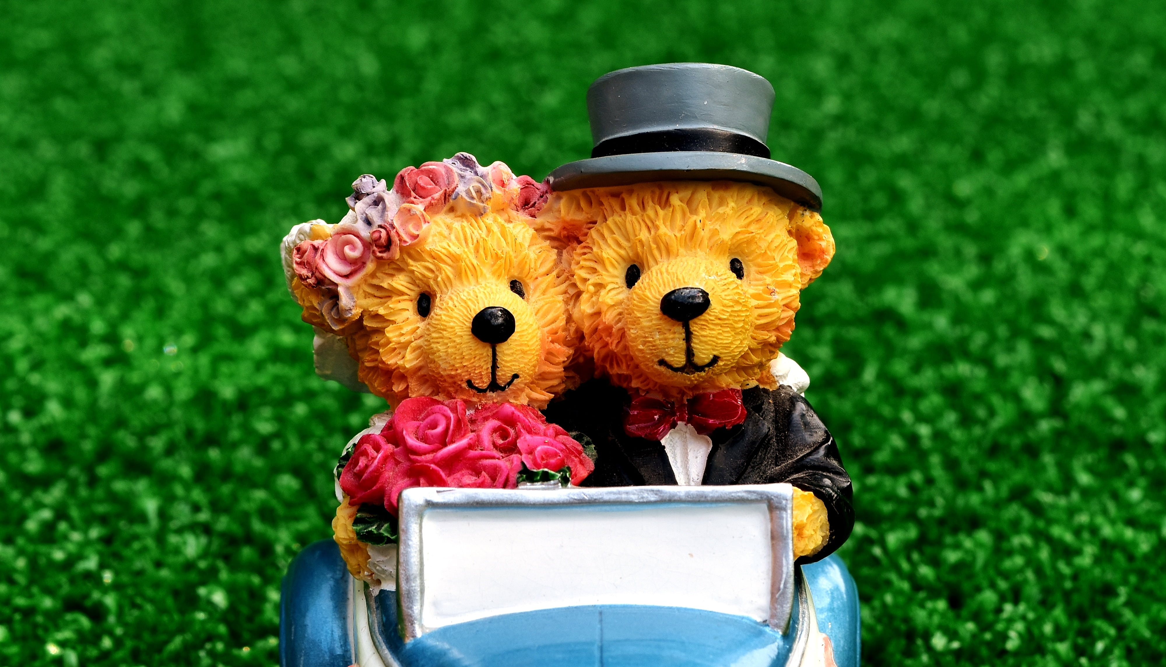 two, hat, 4K, flower, close, field, plant, yellow, outdoors, bear, figurines, figure, auto, for two, grass, green color, figures, close-up, love, marriage, HD Wallpaper