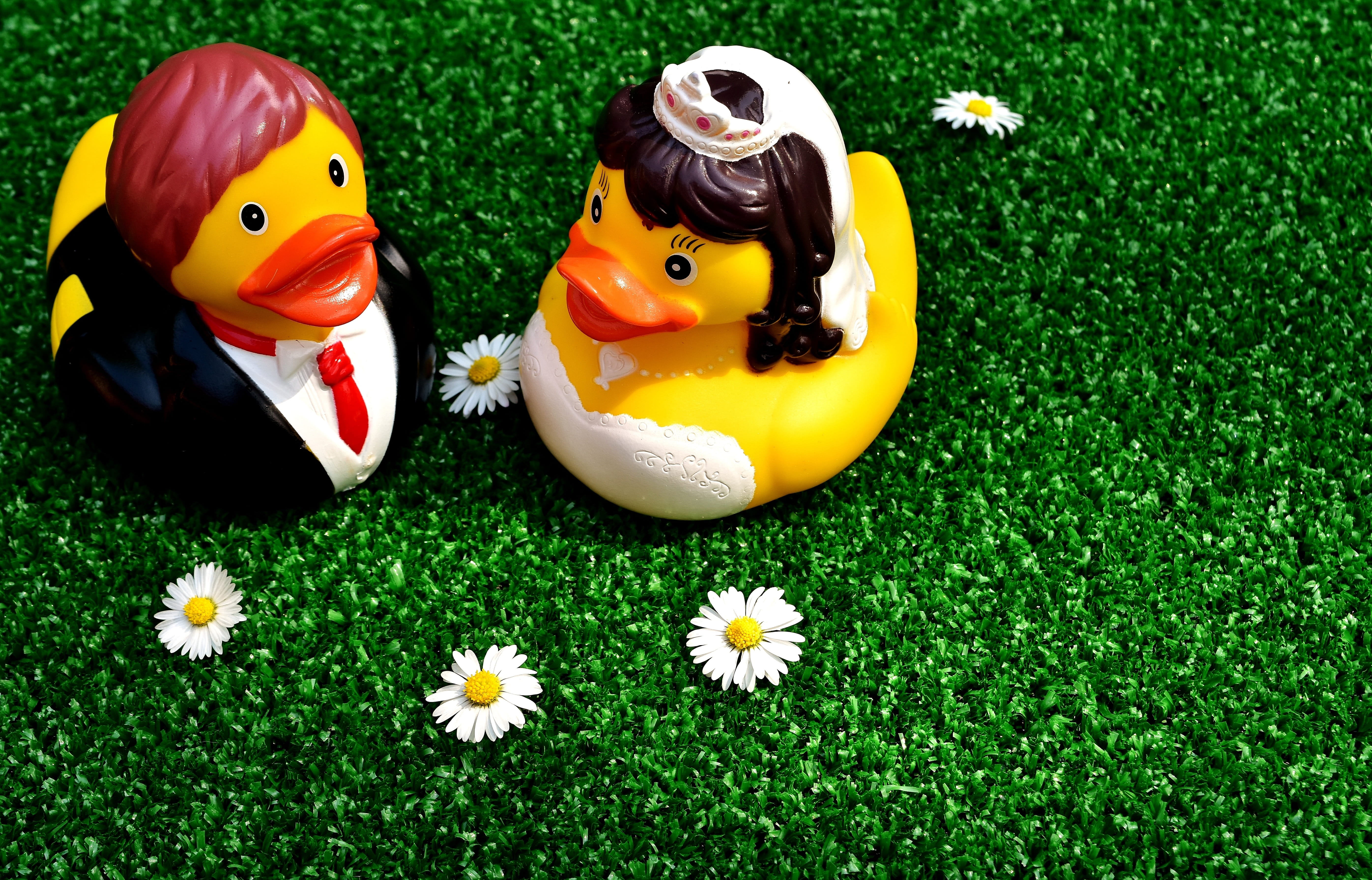 grass, plant, green color, toy, art and craft, 5K, romance, funny, marriage, Bride And Groom, decoration, celebration, Wedding, partnership, representation, HD Wallpaper
