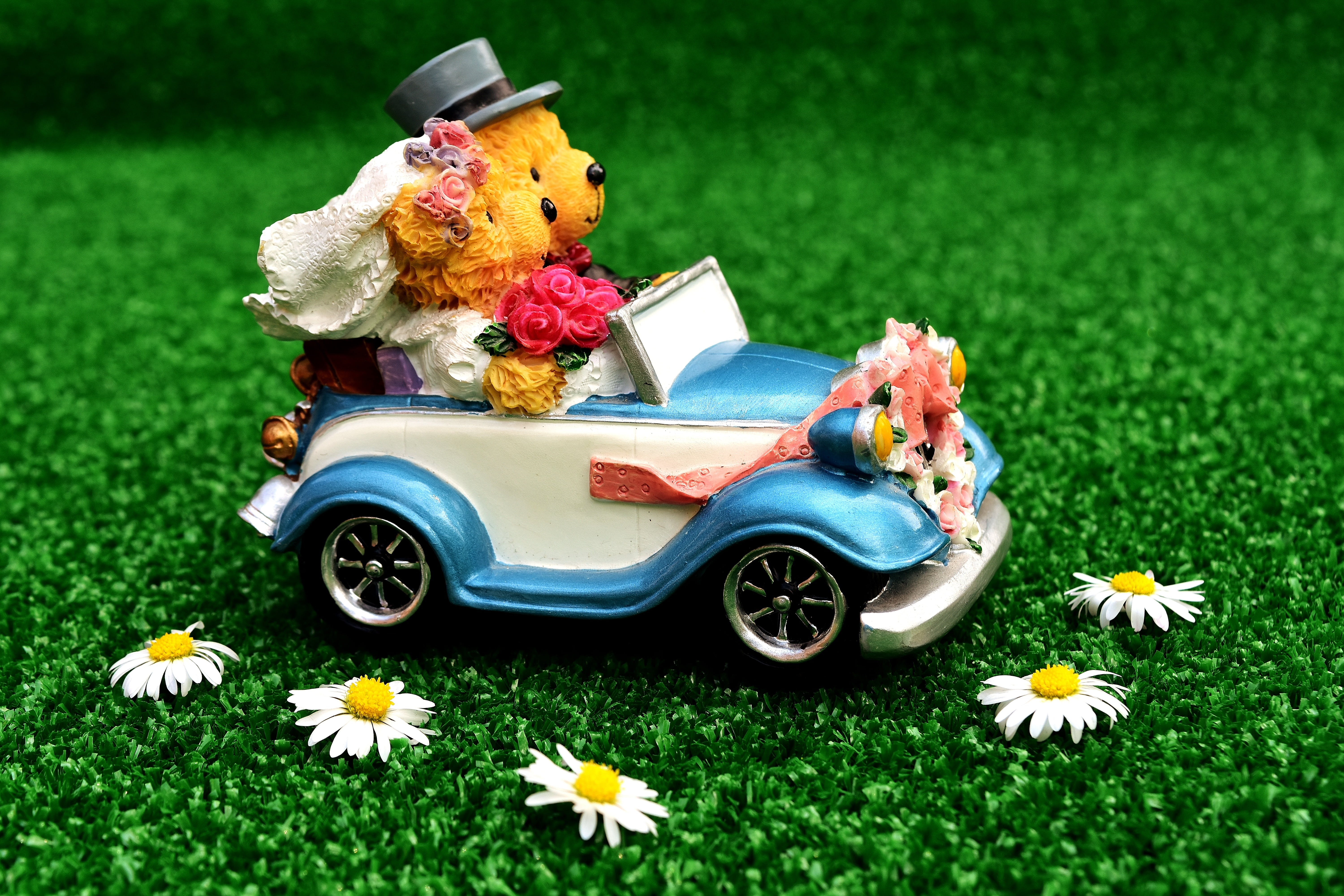 pair, bear, boyds, transportation, groom, flower head, plant, 5K, bride and groom, figure, marriage, flower, nature, outdoors, people, for two, together, HD Wallpaper