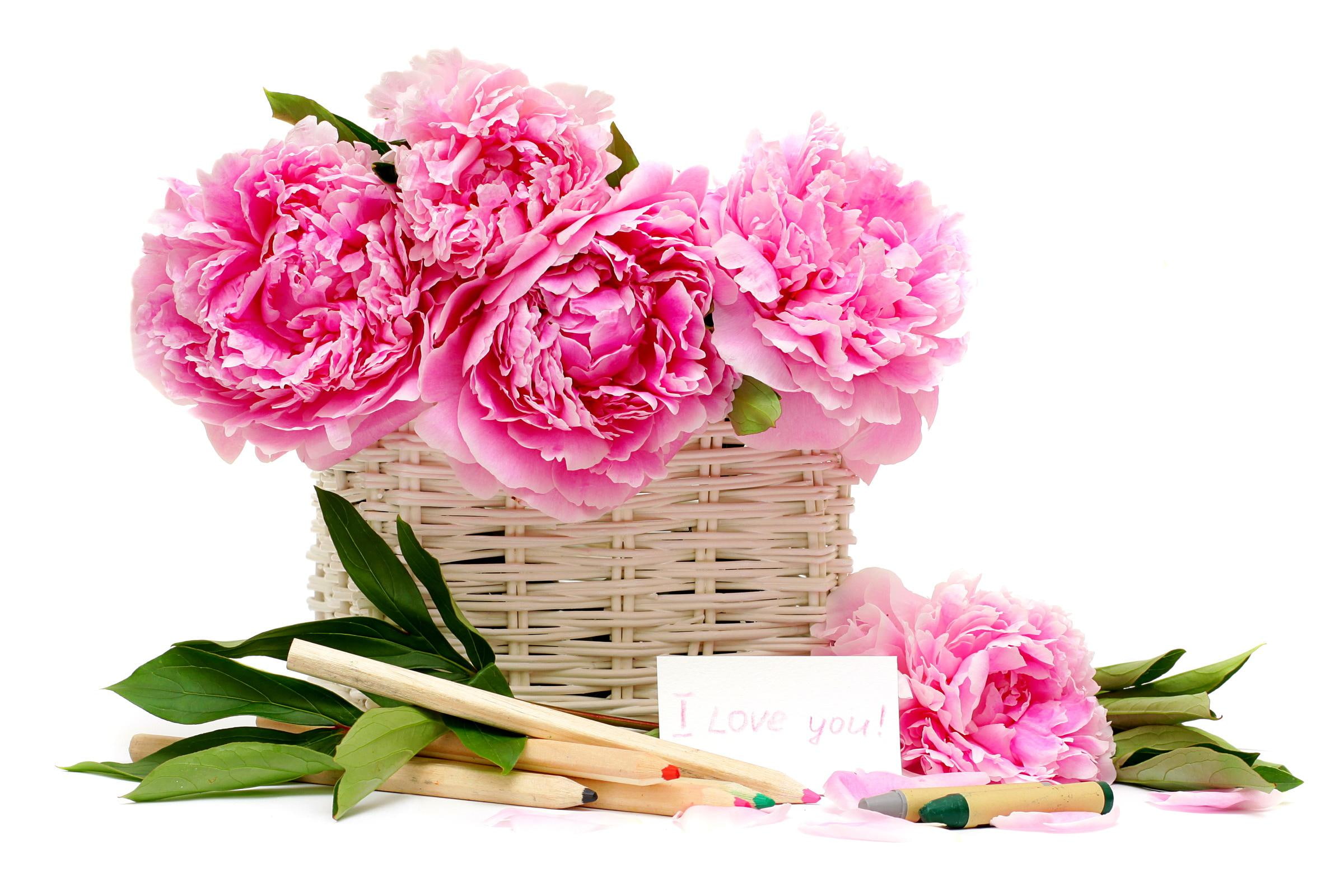 nature and landscapes, nature, 1080P, peonies, flower, basket, HD Wallpaper
