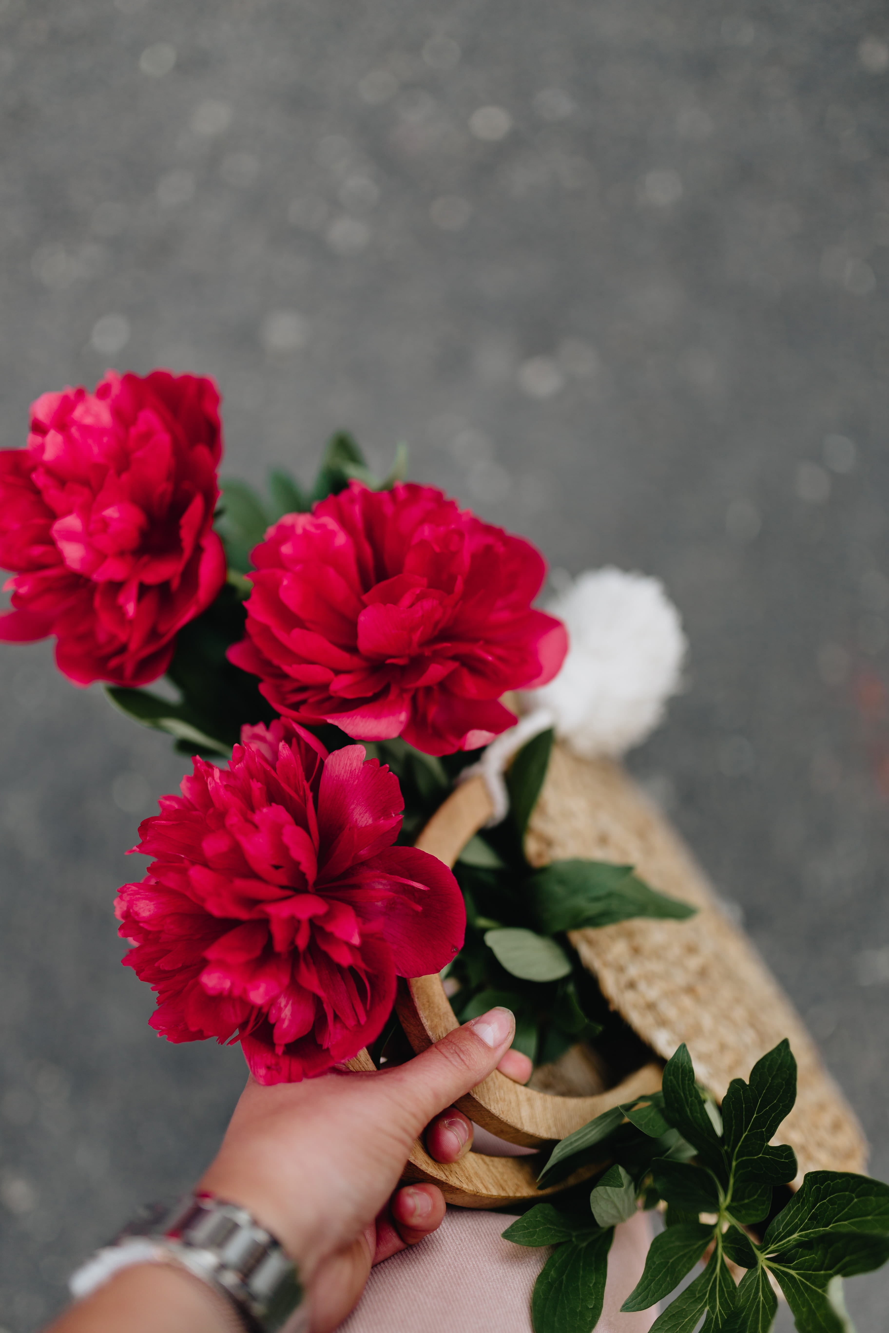 zara bag, beauty in nature, flower head, floral, flower arrangement, human limb, 5K, fragility, flower, vulnerability, real people, human body part, flowers, Phone HD Wallpaper
