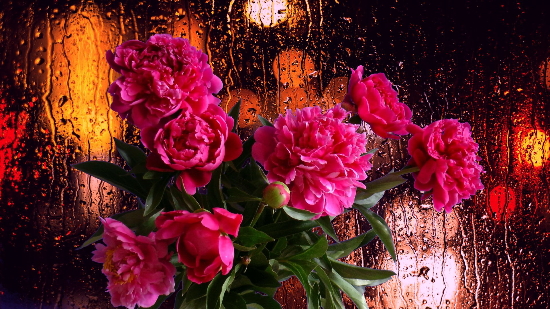 Peonies, drops, bouquet, 1080P, mood, flowers, rain, HD Wallpaper