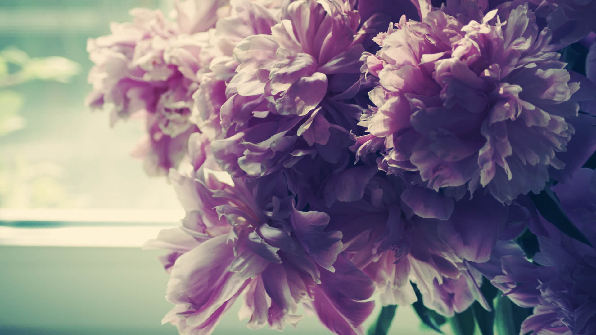 flower arrangement, day, multi Colored, flowers, backgrounds, plant, bouquet, inflorescence, 1080P, summer, botany, close-up, freshness, leaf, selective focus, HD Wallpaper