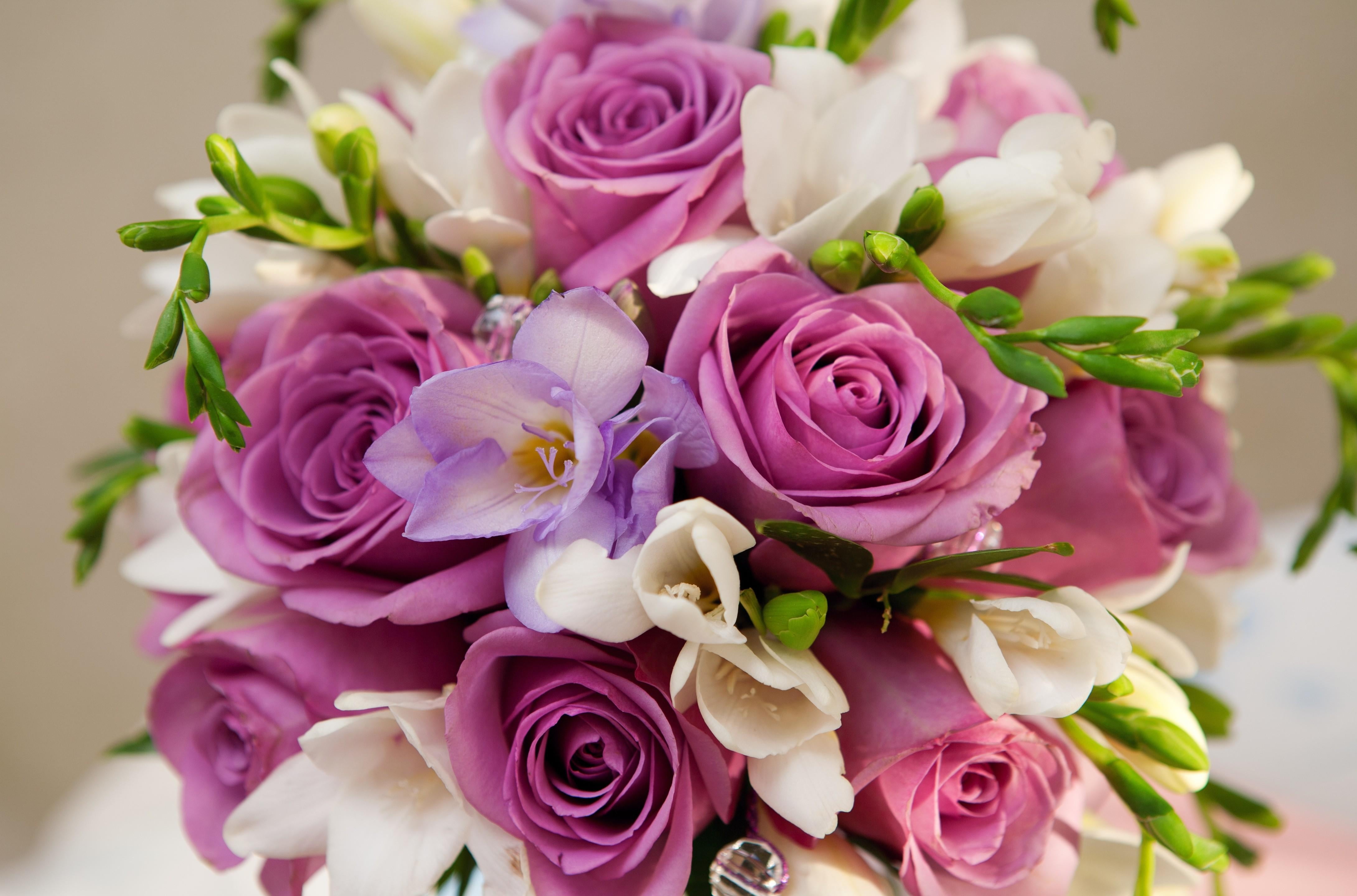 arrangement, celebration, leaf, purple, romance, petal, rose, 4K, vulnerability, plant, multi Colored, nice, elegance, gift, flower, bunch of flowers, HD Wallpaper