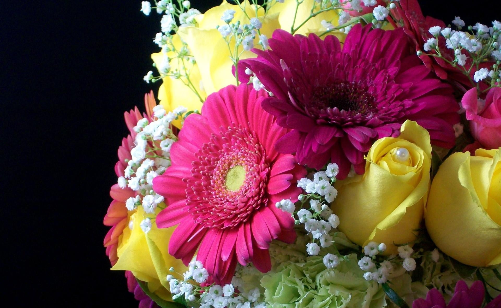 plant, pink Color, flower Head, yellow, purple, no people, bouquet, flower, wedding ceremony, freshness, vulnerability, close-up, 1080P, summer, gypsophila, HD Wallpaper