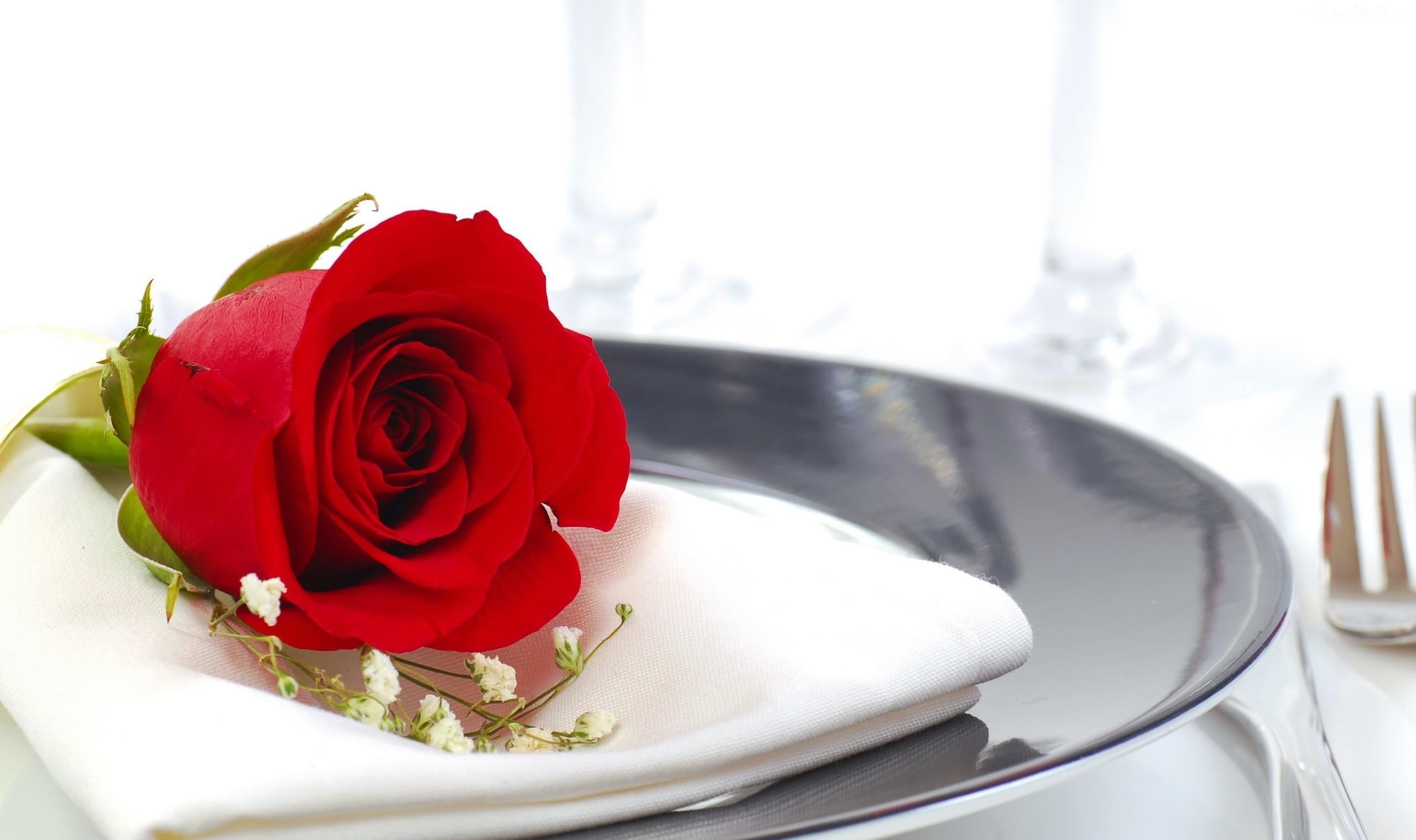 decor, decoration, napkin, love, rose, valentines Day - Holiday, plate, rose - Flower, wedding, 2K, nature, gift, gypsophila, anniversary, single Flower, HD Wallpaper
