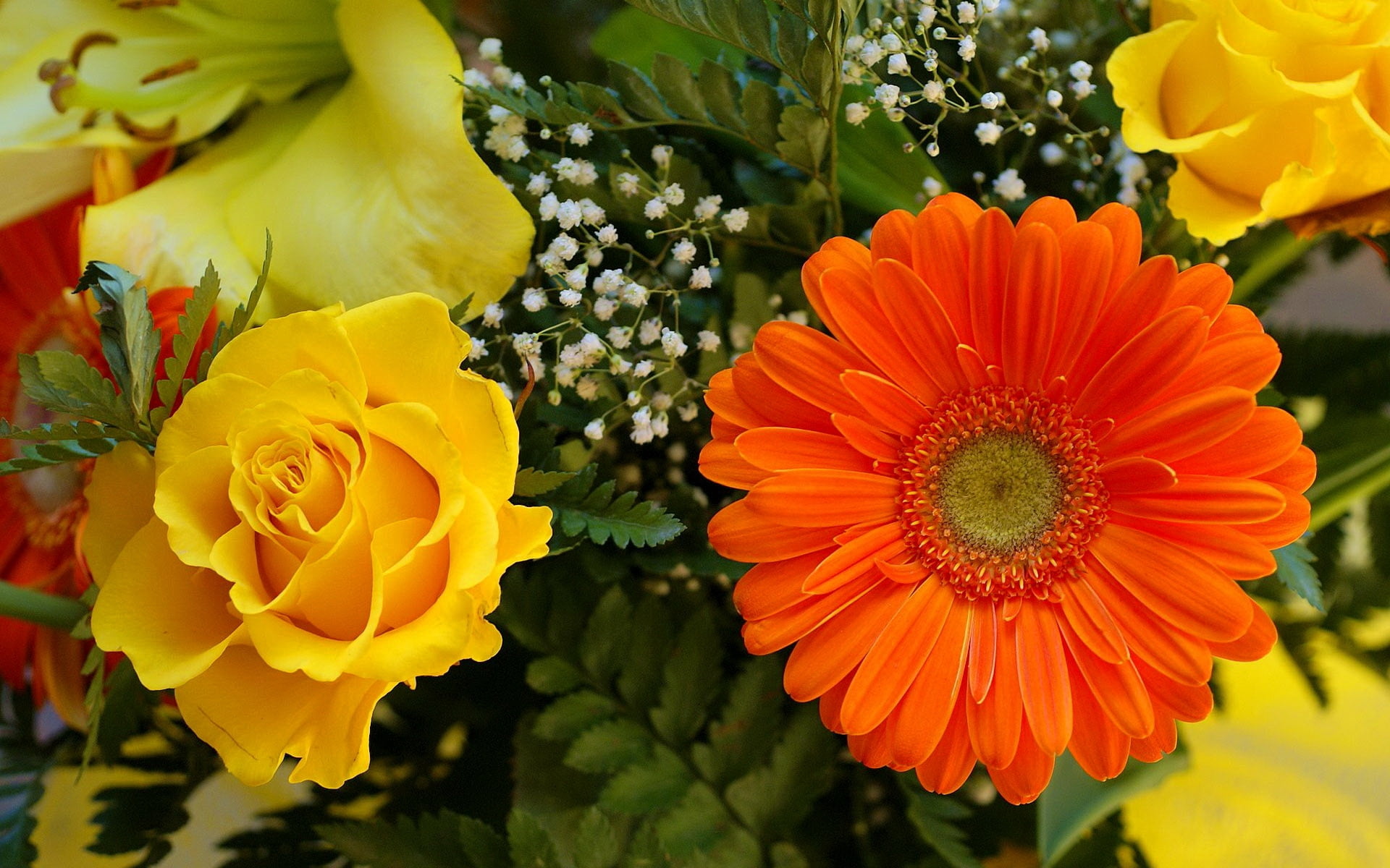 flower, blossom, springtime, red, freshness, fragility, flower Head, backgrounds, no People, petal, pollen, 1080P, love, growth, gift, yellow, flowering plant, HD Wallpaper