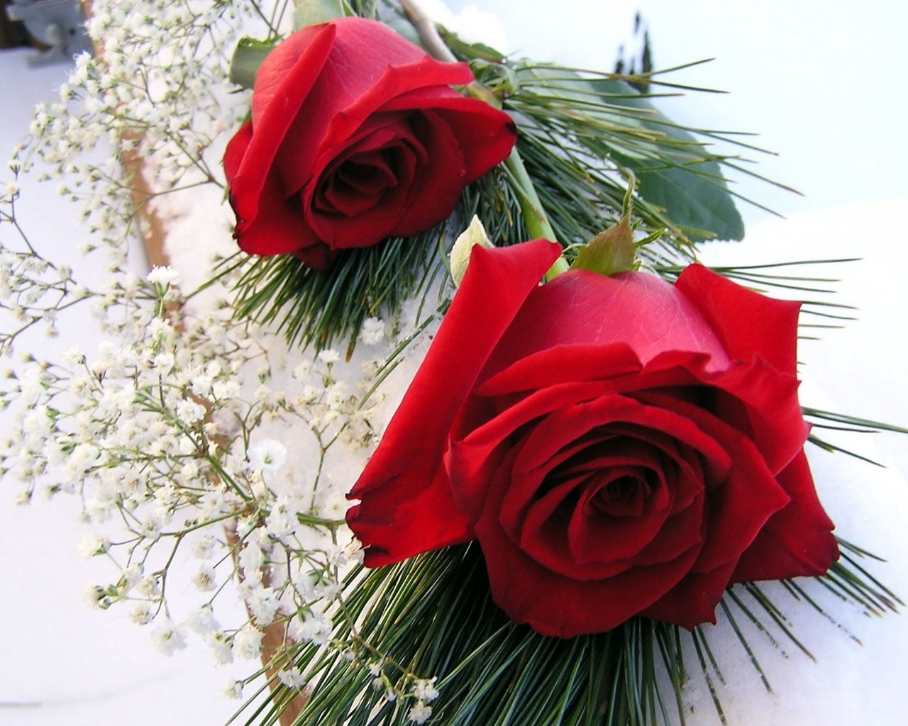no People, freshness, plant, gypsophila, day, flower arrangement, inflorescence, flower, flowers, two, roses, gift, rose - Flower, 720P, beauty In Nature, HD Wallpaper