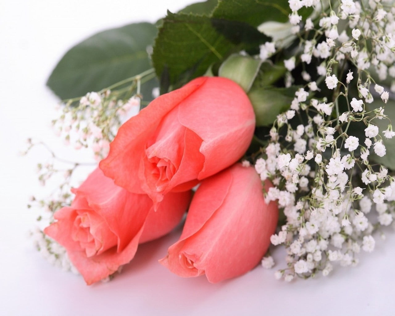 close-up, wedding, rose, tenderness, flower Head, breath, flower arrangement, petal, red, luxury, love, flower, no people, event, bouquet, s, blossom, baby, HD Wallpaper