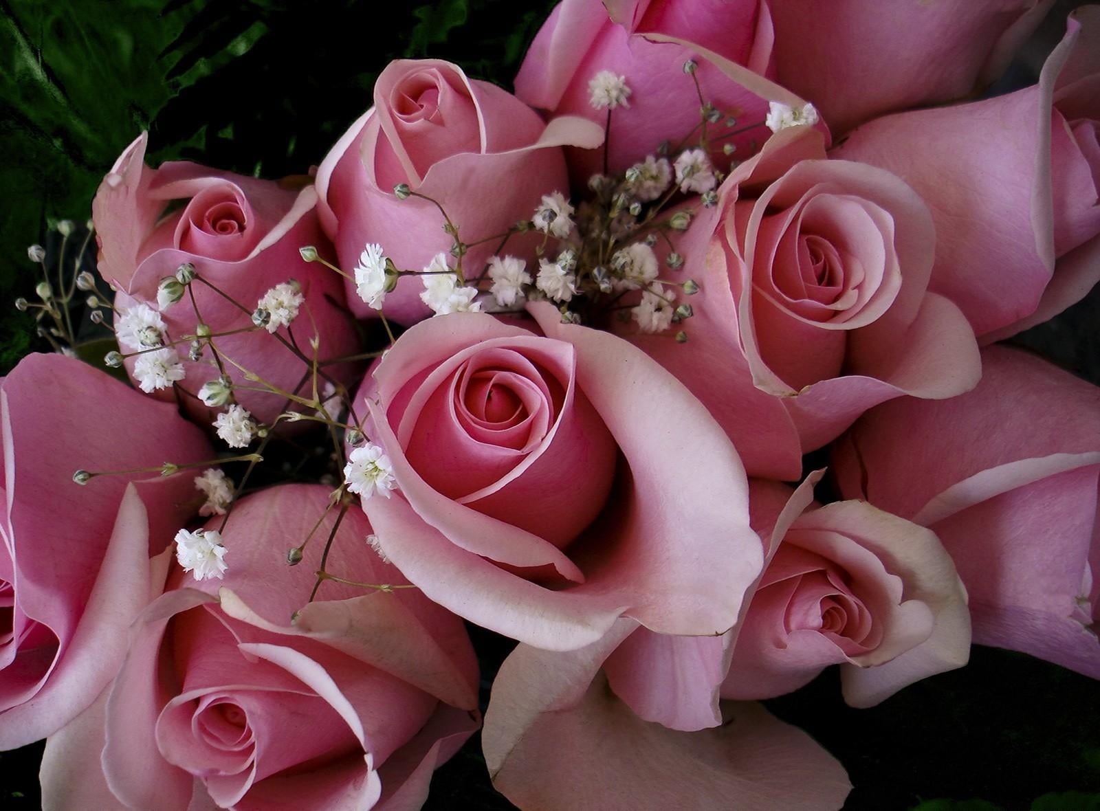 flower, inflorescence, beauty In Nature, no People, day, vulnerability, flowers, decoration, celebration, roses, plant, arrangement, blossom, bunch of flowers, HD Wallpaper