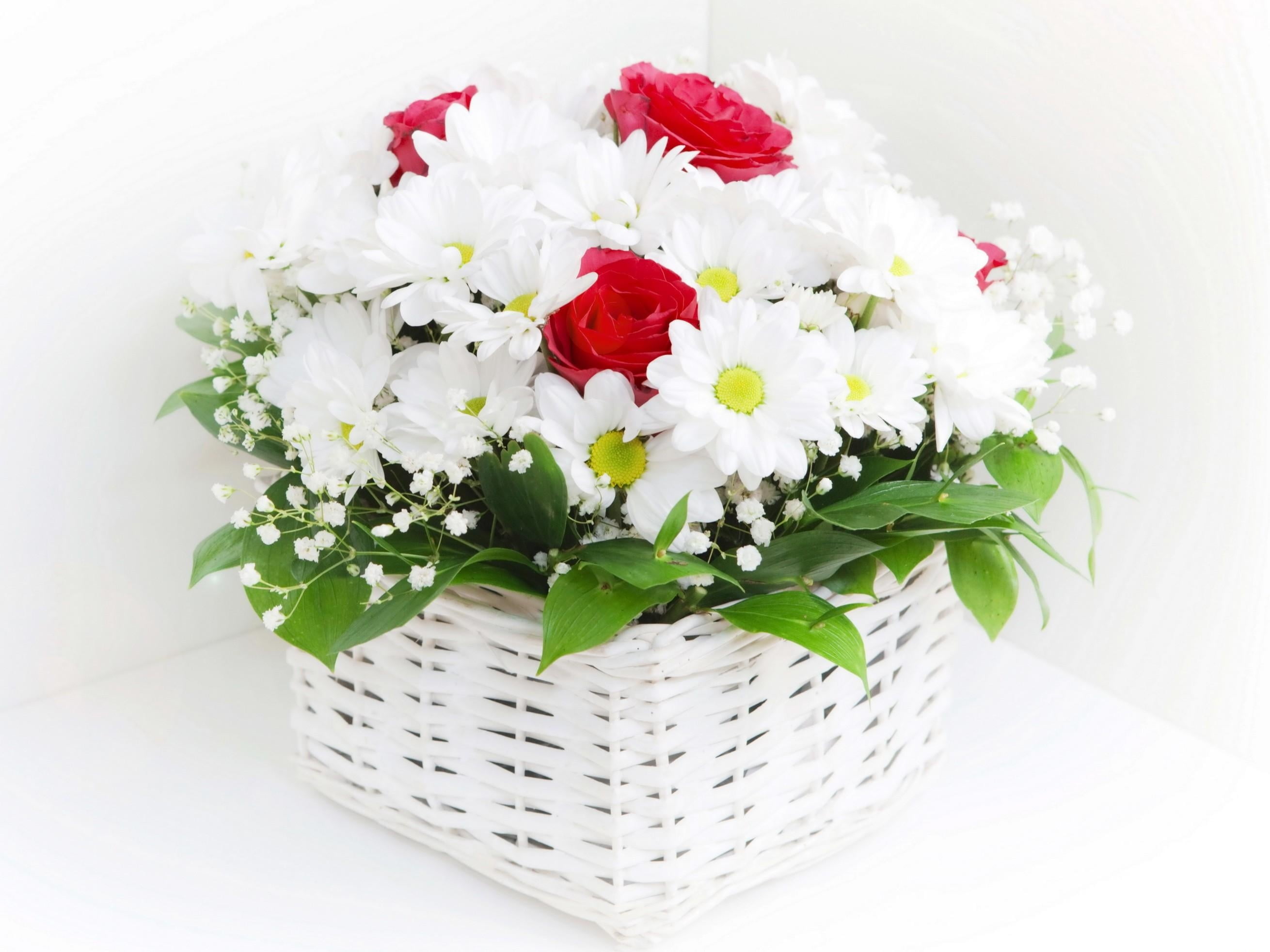 container, chrysanthemums, wedding, close-up, inflorescence, flower arrangement, flowering plant, summer, backgrounds, petal, beautiful, leaf, pink Color, HD Wallpaper