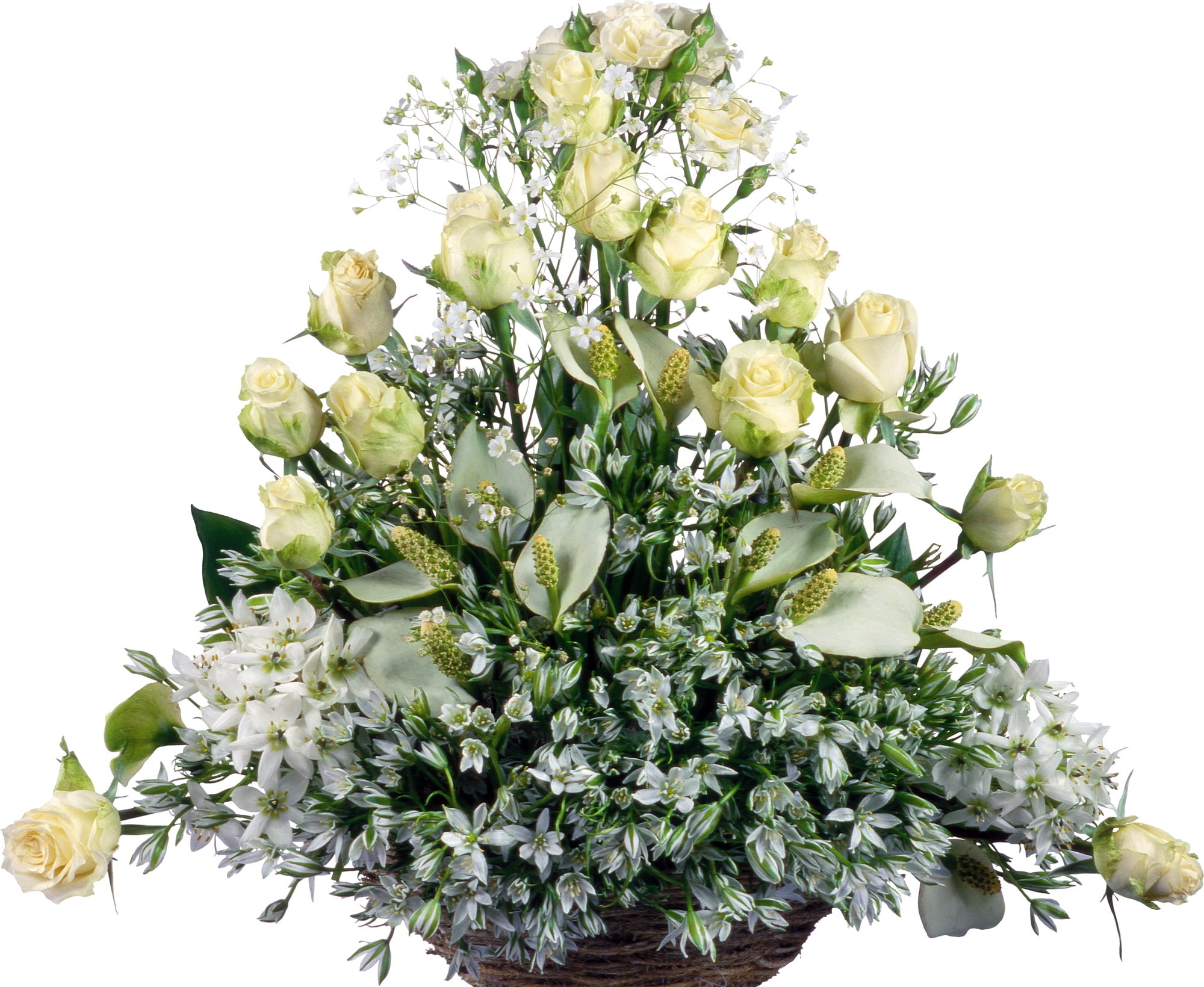 petal, flower Head, no People, beauty In Nature, blossom, 1080P, romance, springtime, green Color, bouquets, freshness, flowering plant, leaf, gift, white color, HD Wallpaper