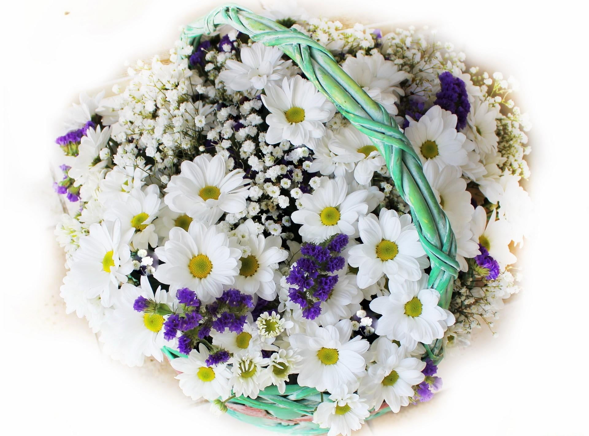 indoors, romance, backgrounds, yellow, white background, leaf, gypsophila, decoration, flower, daisy, green Color, petal, basket, cut Flowers, flower arrangement, HD Wallpaper
