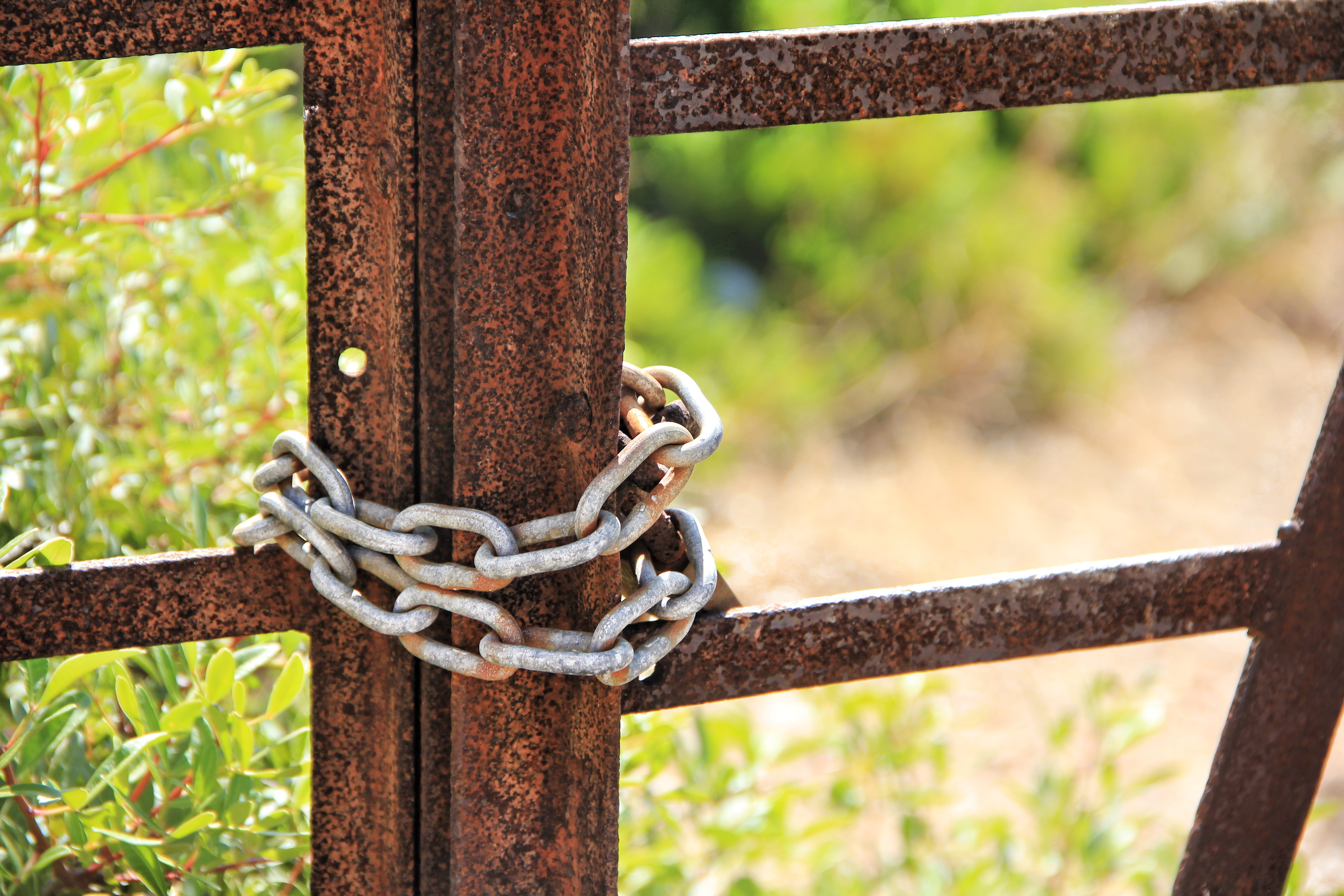 burglar, outdoors, security, 5K, gate, wood - material, tree, close-up, close, metal, connection, castle, safety, blocked, rusty, tied up, old, day, strength, HD Wallpaper