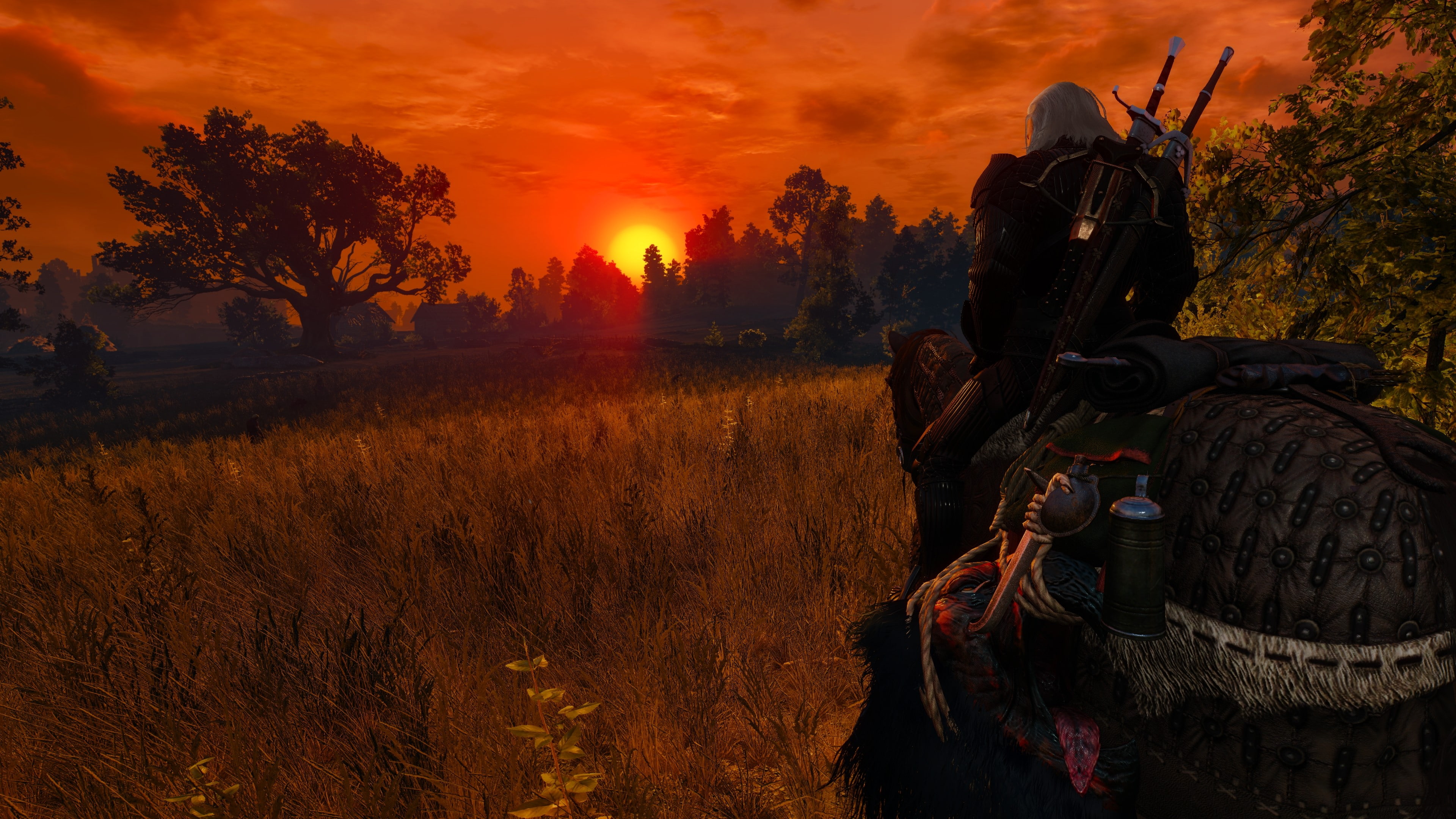 plant, real people, land, rear view, Geralt of Rivia, sunset, field, sky, Nvidia Ansel, landscape, men, The Witcher 3: Wild Hunt, tree, lifestyles, outdoors, HD Wallpaper