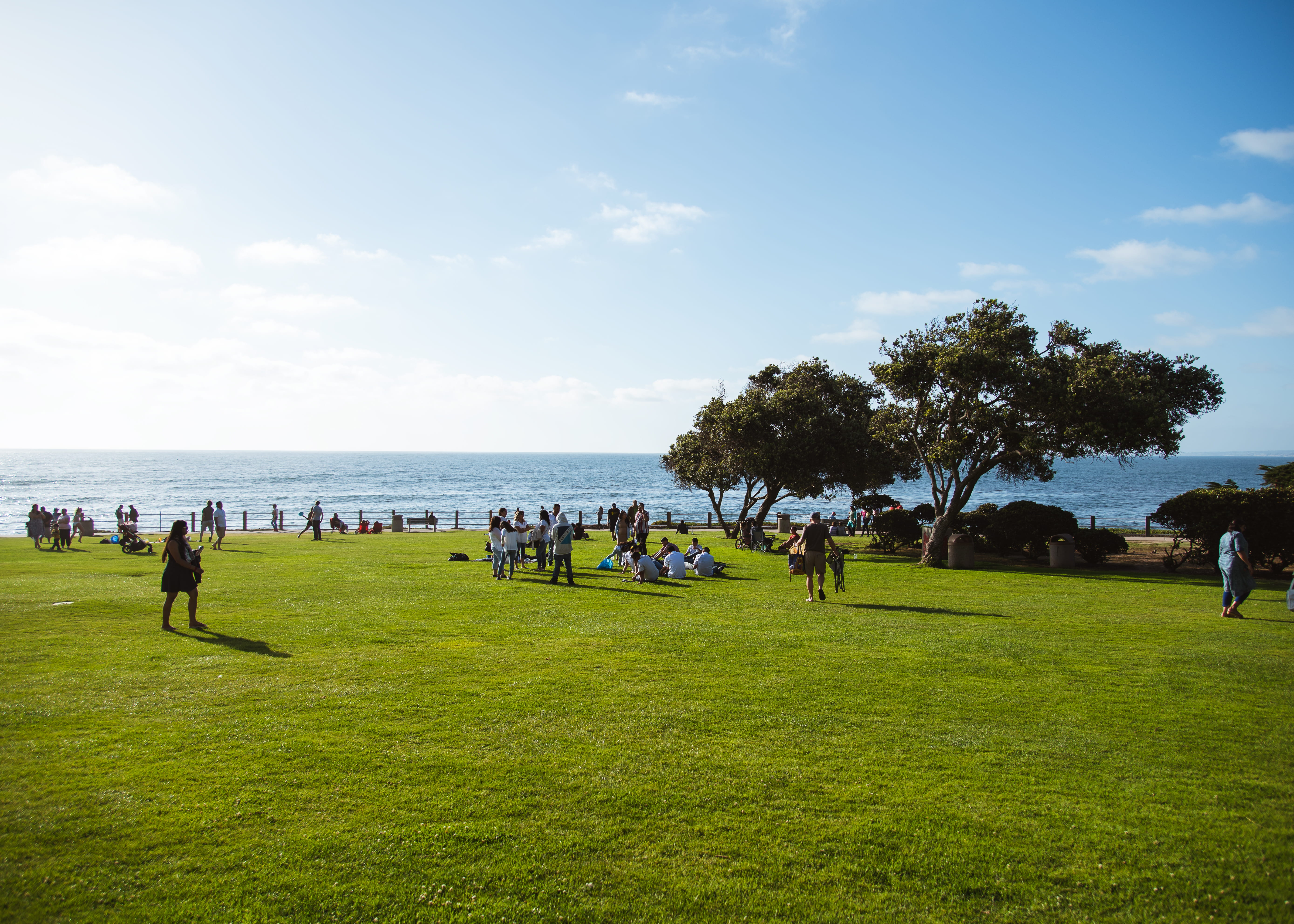 outdoors, united states, leisure activity, san diego, real people, men, land, field, trees, plant, 5K, sky, sport, park, grass, lifestyles, sun, large group of people, HD Wallpaper