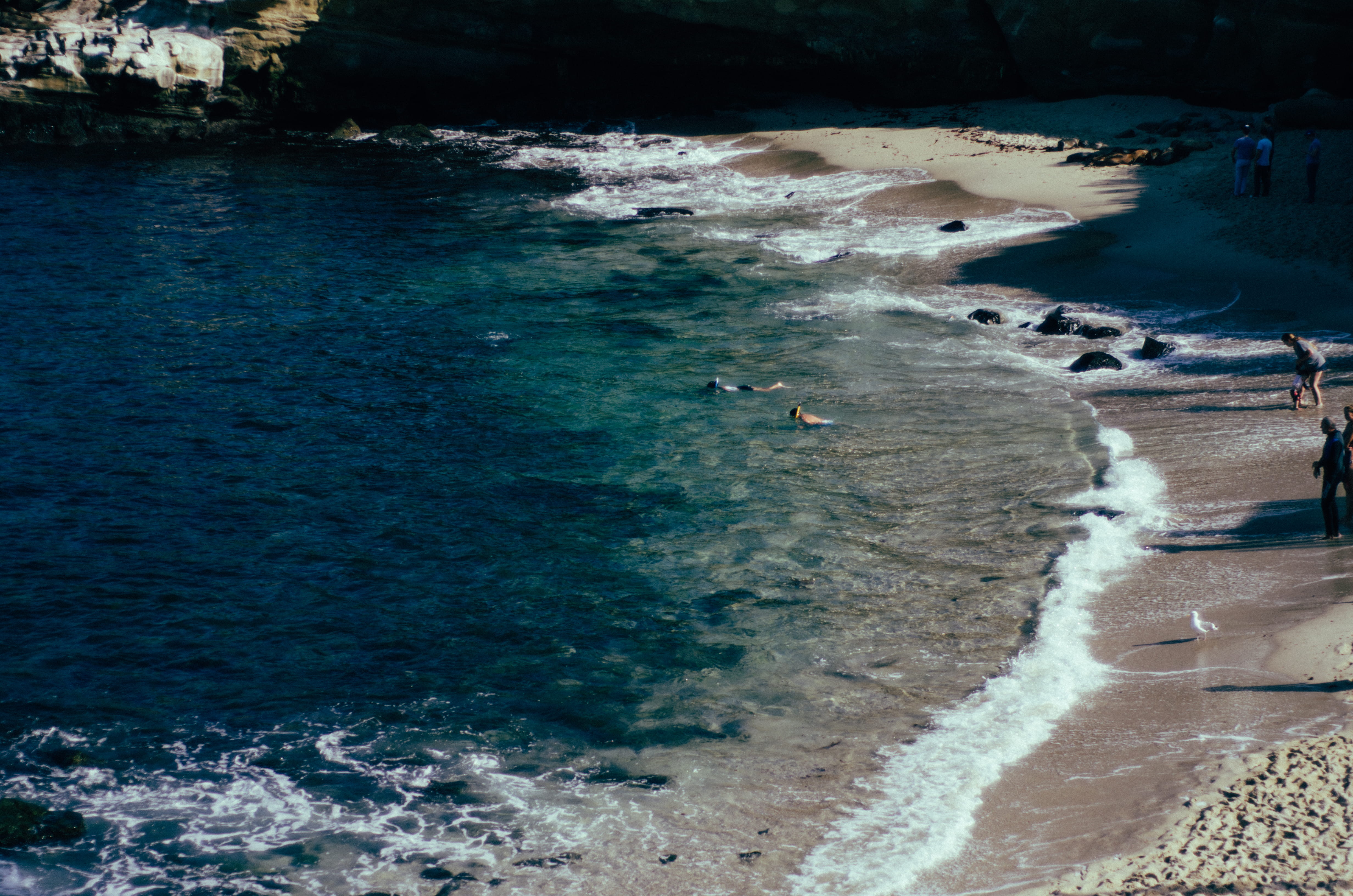 beach, nature, land, sea, sand, ocean, swiming, water, san diego, wave, power in nature, coast, surfing, beauty in nature, tranquil scene, summer, aquatic sport, HD Wallpaper