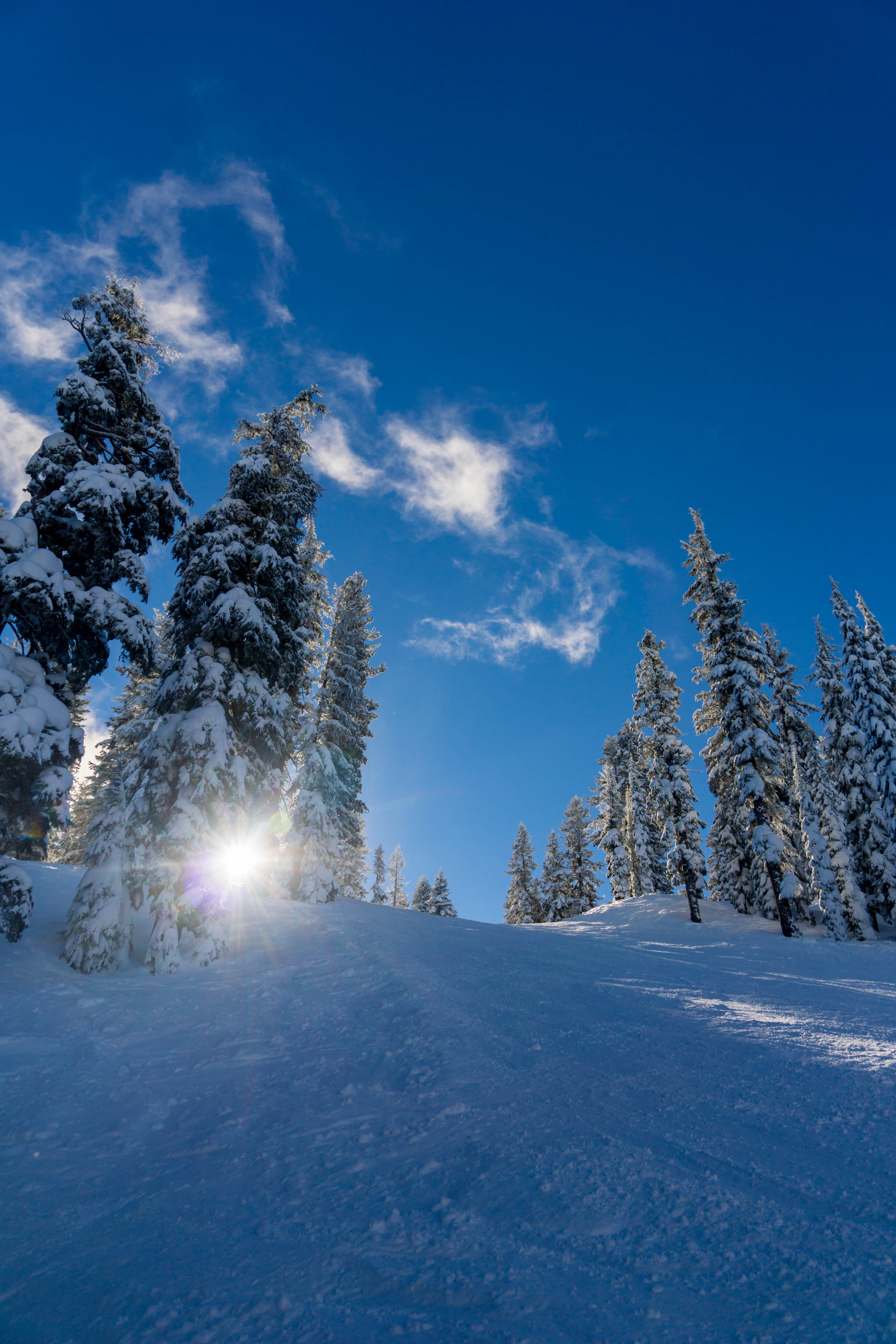 nature, sunlight, plant, land, clouds, united states, sky, blue, snow, scenics - nature, snowy, cold temperature, tranquil scene, lens flare, tranquility, Phone HD Wallpaper