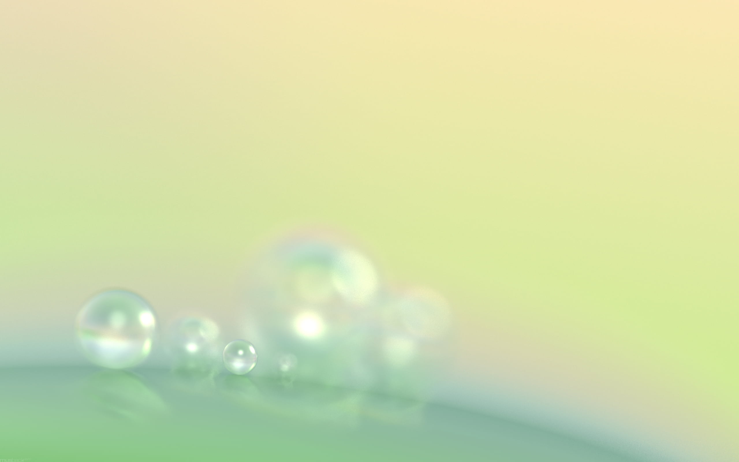 luxury, balls, 2K, studio shot, dew, shiny, copy space, pastel colored, diffused, purity, no people, simplicity, selective focus, reflection, artwork, HD Wallpaper