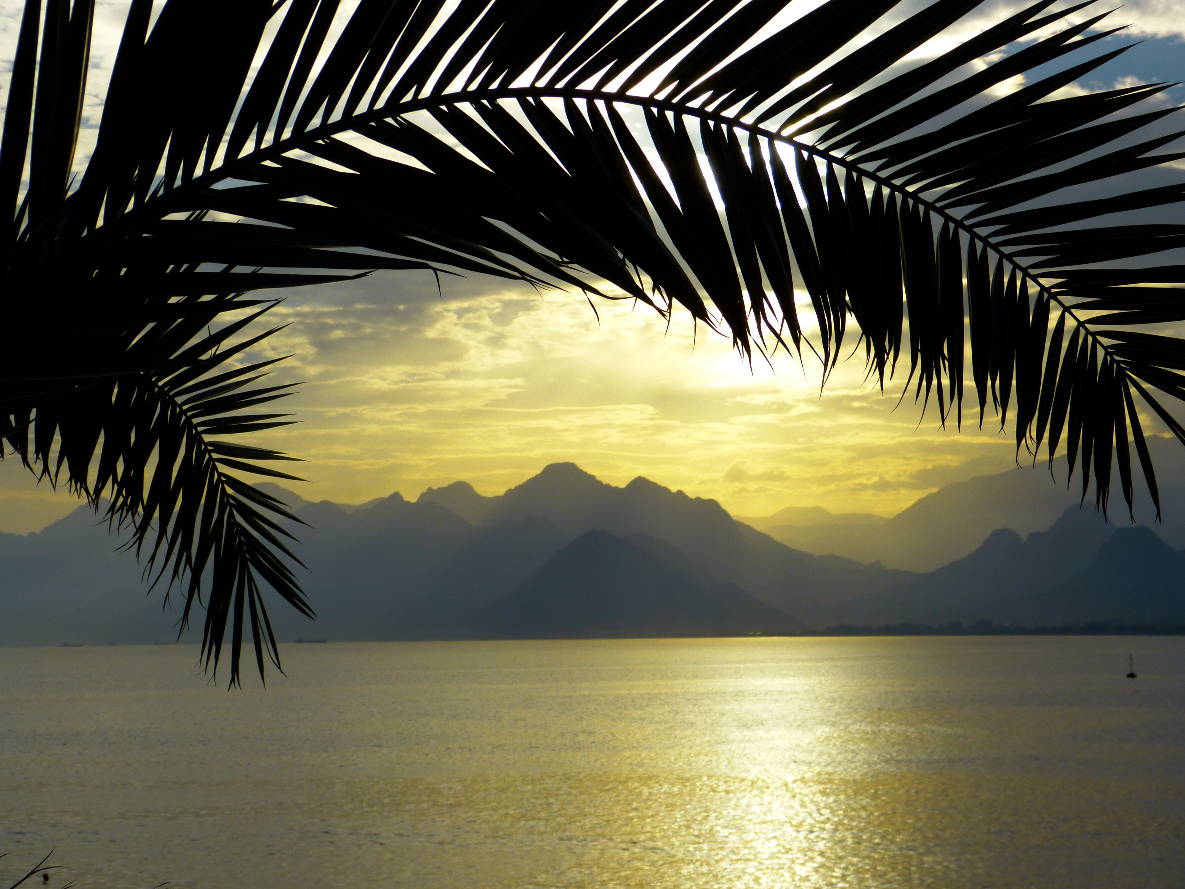 nature, palm fronds, sky, tranquil scene, sea, golden, tree, scenics, beach, mountains, back light, mediterranean, tropical climate, plant, abendstimmung, HD Wallpaper