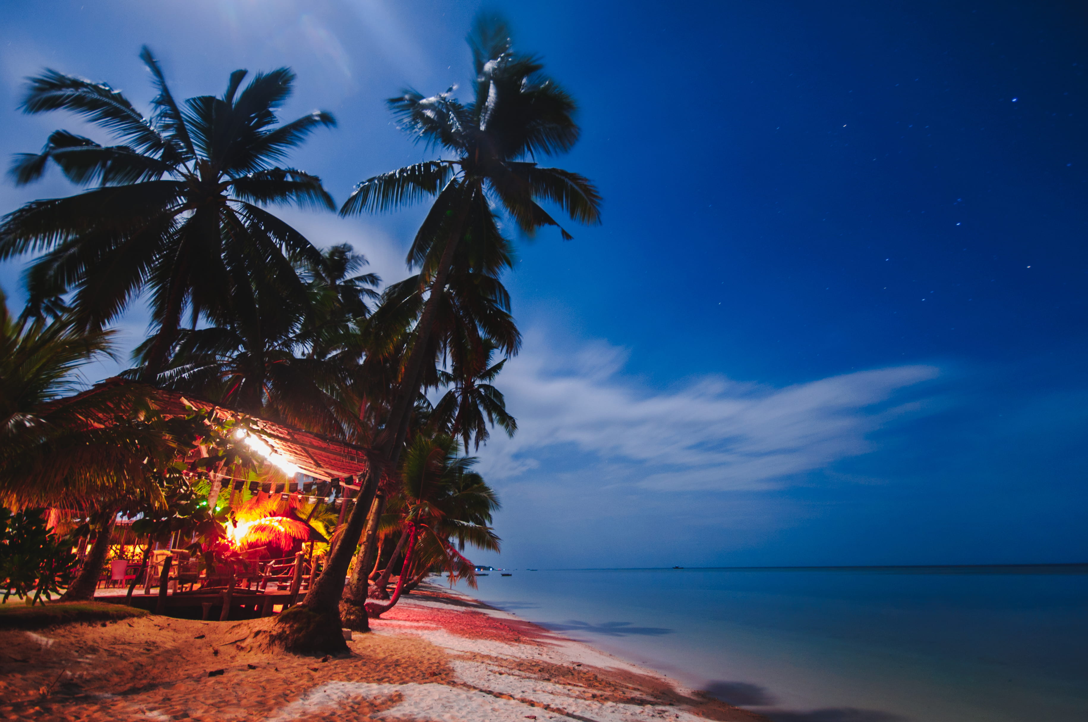 coconut palm tree, shore, seashore, nature, near, cloud - sky, house, tropical tree, beauty in nature, palm leaf, 2K, showing, lapse, tranquil scene, no people, HD Wallpaper