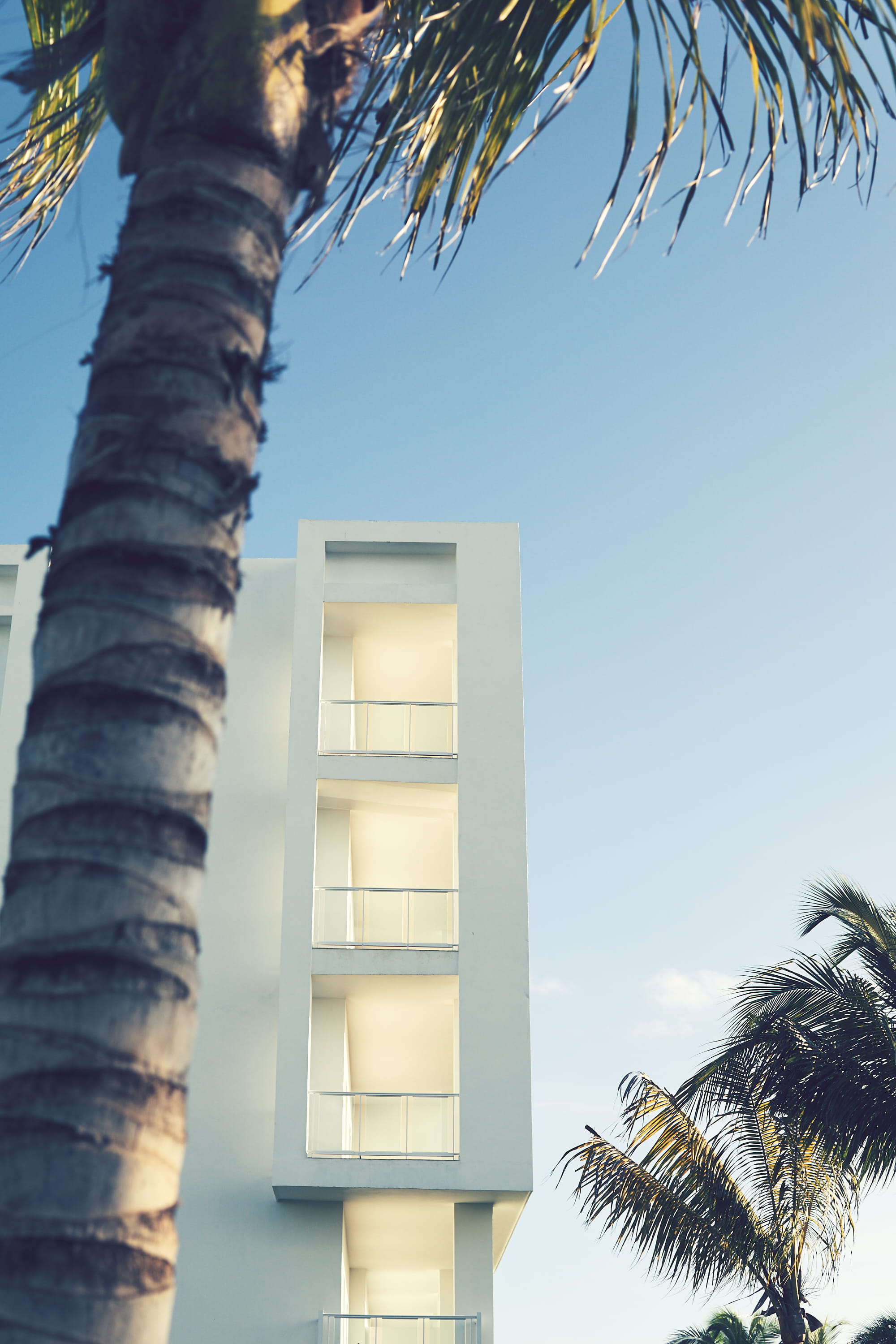 florida - Usa, architecture, summer, paradise, vacations, apartment, built Structure, complex, day, plam, clear, no People, palm Tree, 2K, white, urban Scene, Phone HD Wallpaper