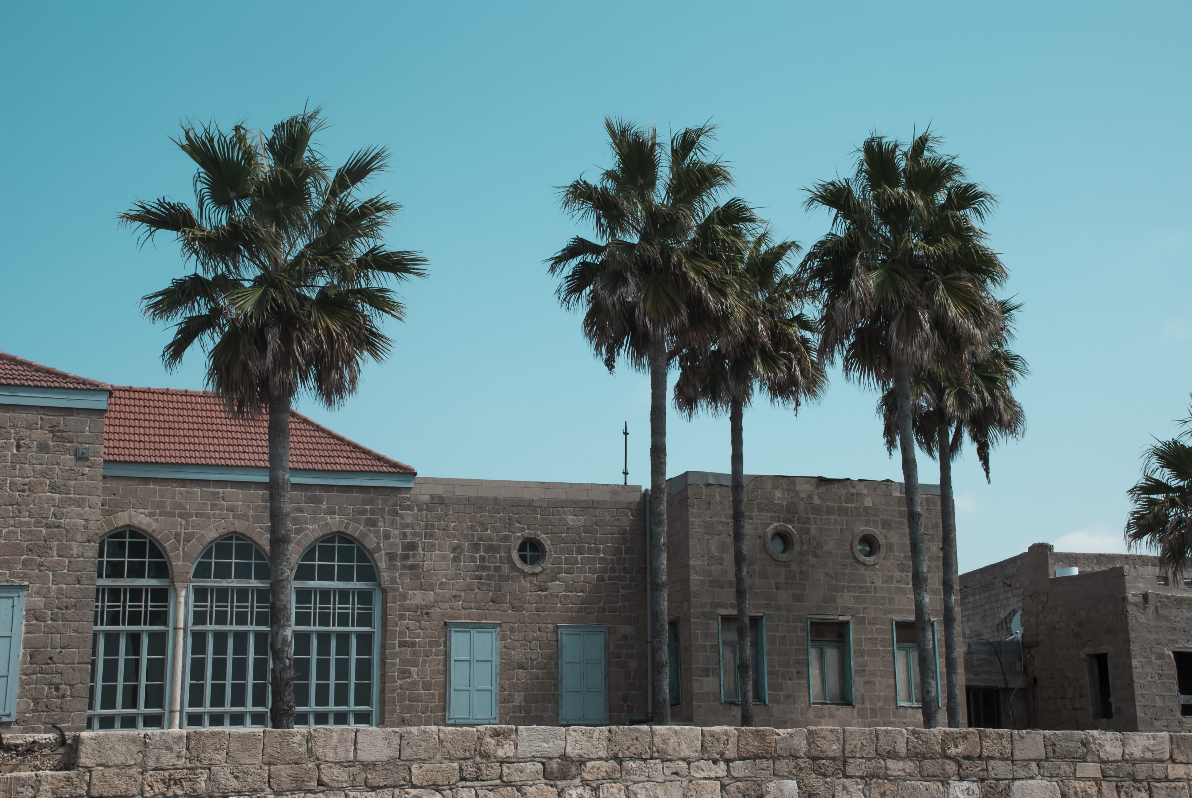 sky, old, the past, building, no people, bribk, window, architecture, plam trees, tropical climate, sonework, blus sky, plant, history, palm tree, nature, HD Wallpaper