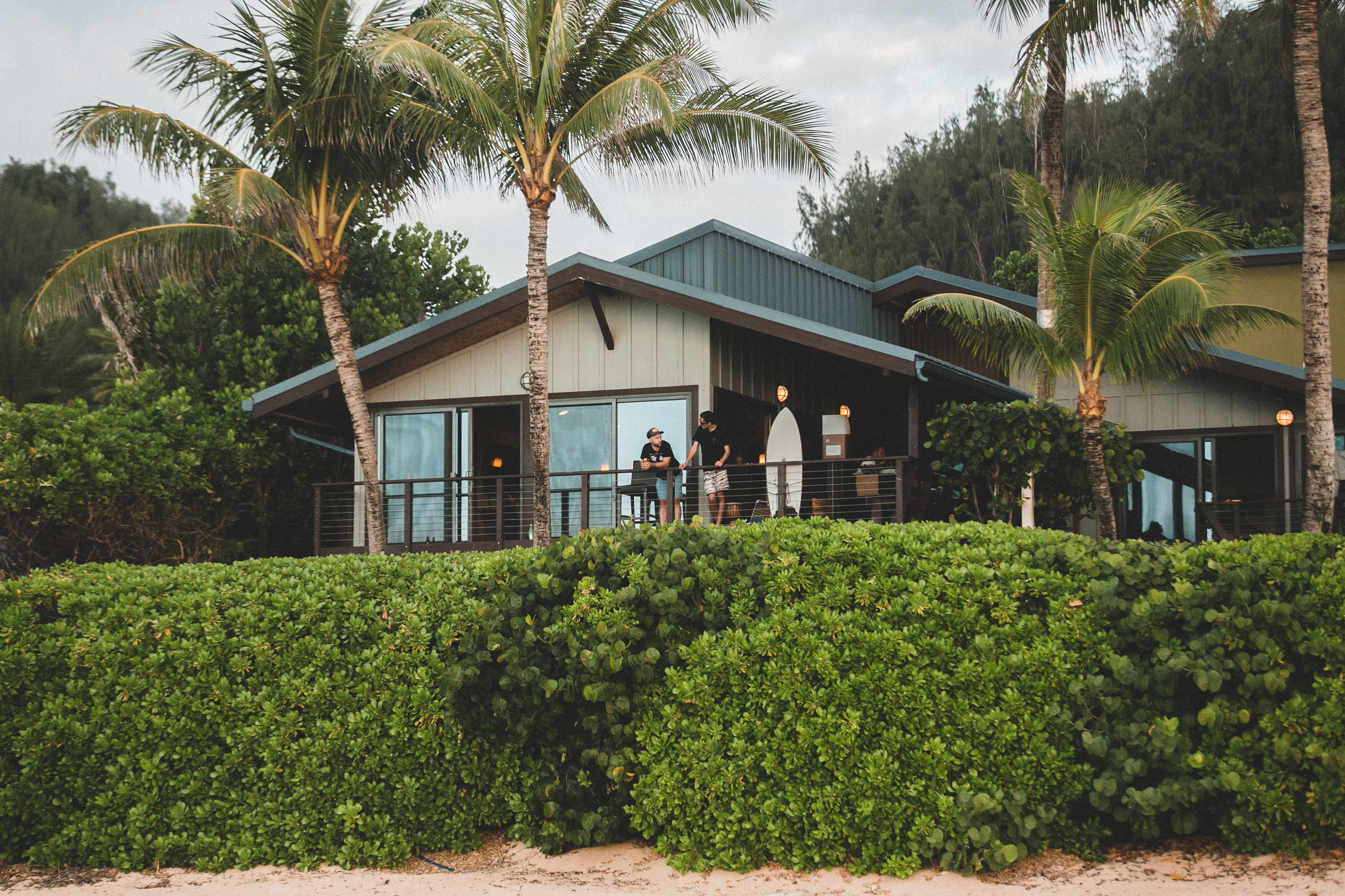 palm tree, lifestyles, 2K, growth, day, tropical climate, bush, people, surfboard, sand, plam, nature, architecture, plant, adult, building, green color, HD Wallpaper