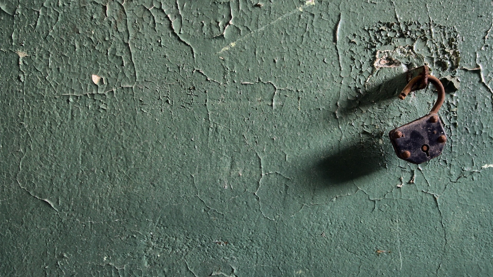 outdoors, old, hole, backgrounds, day, run-down, wood - material, full frame, metal, wall - building feature, animal, architecture, wall, rust, minimalism, HD Wallpaper