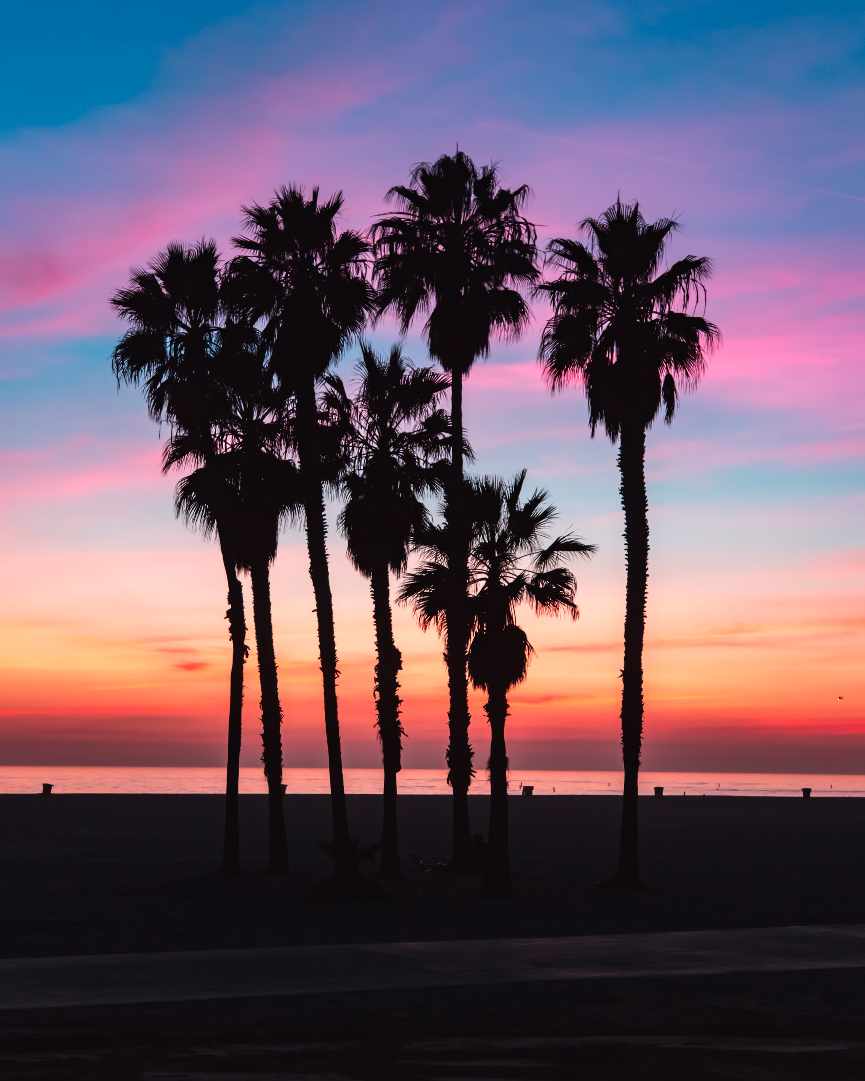 no People, sunlight, nature, tranquility, growth, scenics, scenics - nature, idyllic, sky, romantic sky, cloud - Sky, tropical Climate, palm Tree, beach, Phone HD Wallpaper