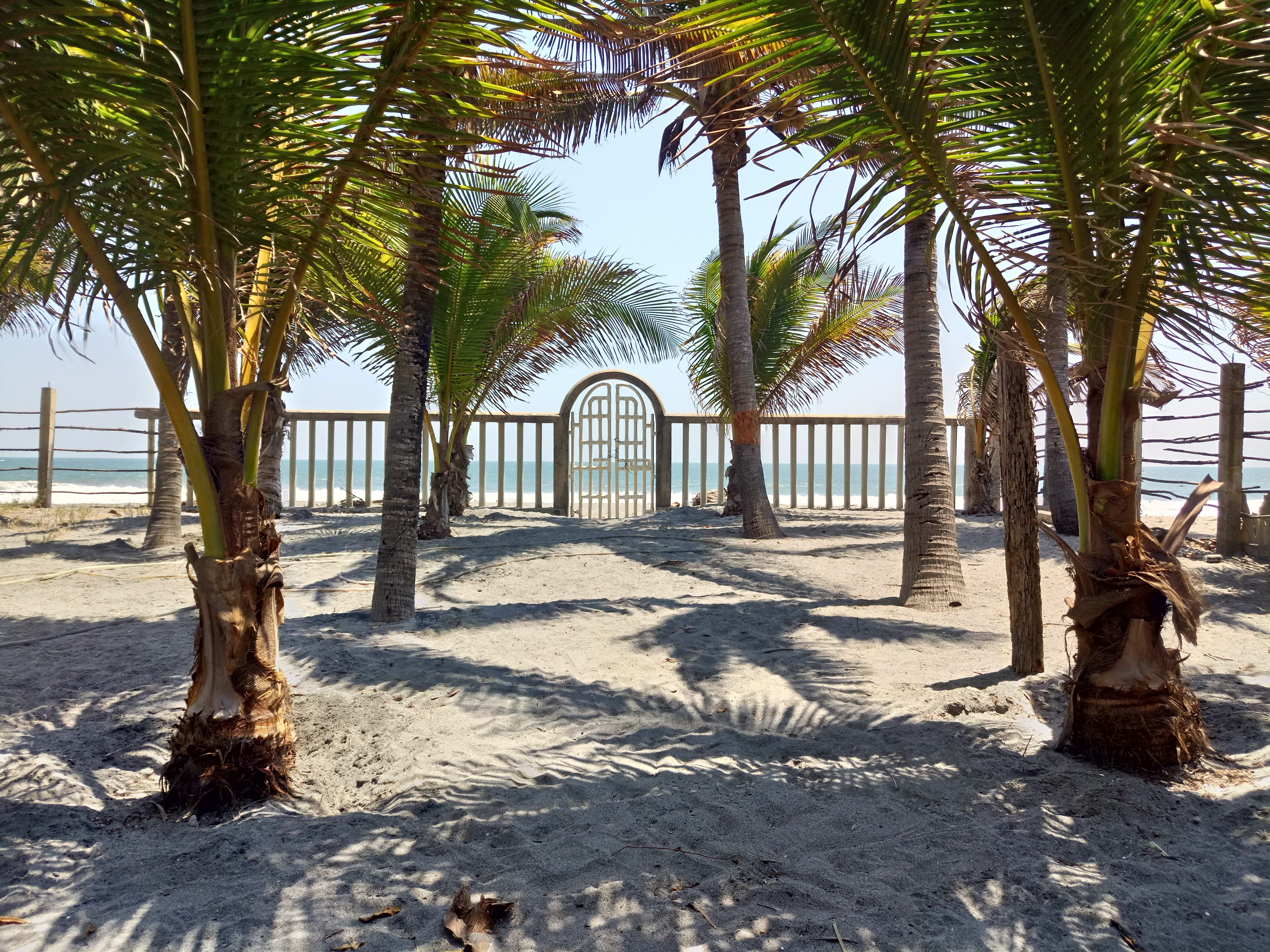 day, architecture, coconut, palm tree, sun, trunk, the costa del sol, el salvador, tranquil scene, growth, waves, architectural column, tree trunk, beach, HD Wallpaper