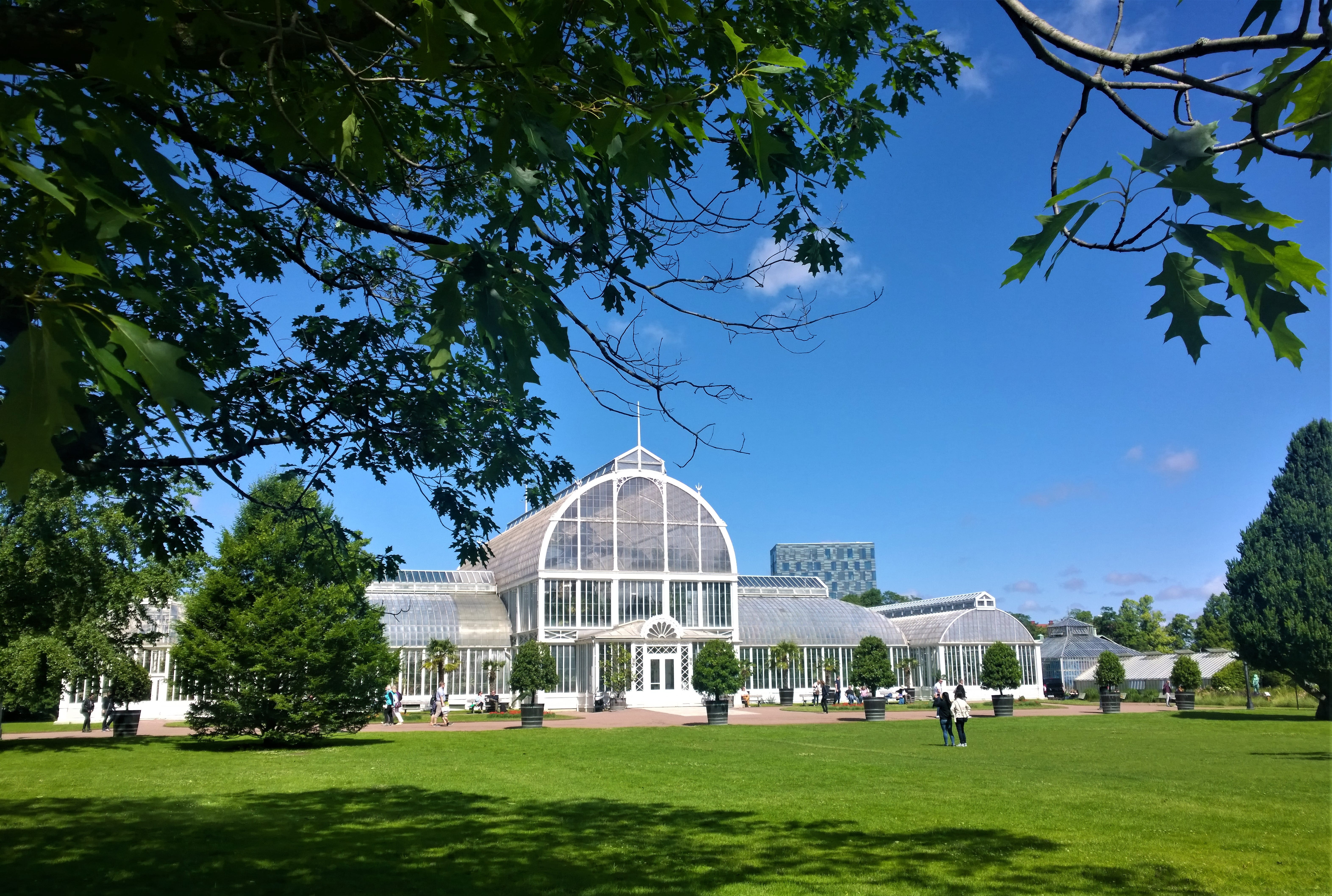 grass, outdoor, building exterior, religion, tree, sky, the garden society of gothenburg, plants, view, concrete, daytime, landscapes, plant, city, the palm house, HD Wallpaper