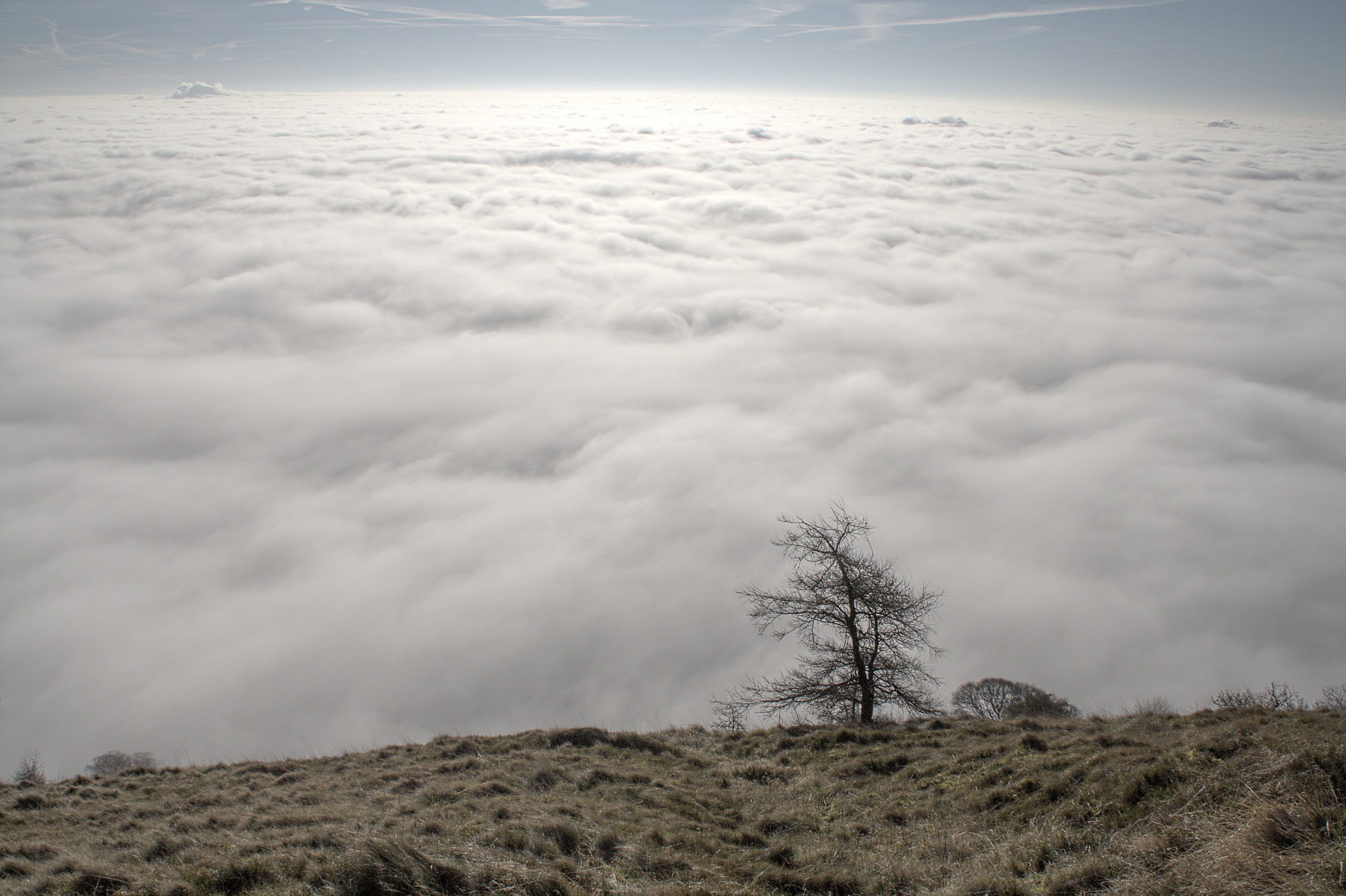 tranquility, landscape, scenics - nature, environment, clouds, plant, beauty in nature, outdoors, sky, light, hill, nature, weather, cloudscape, land, horizon over land, HD Wallpaper