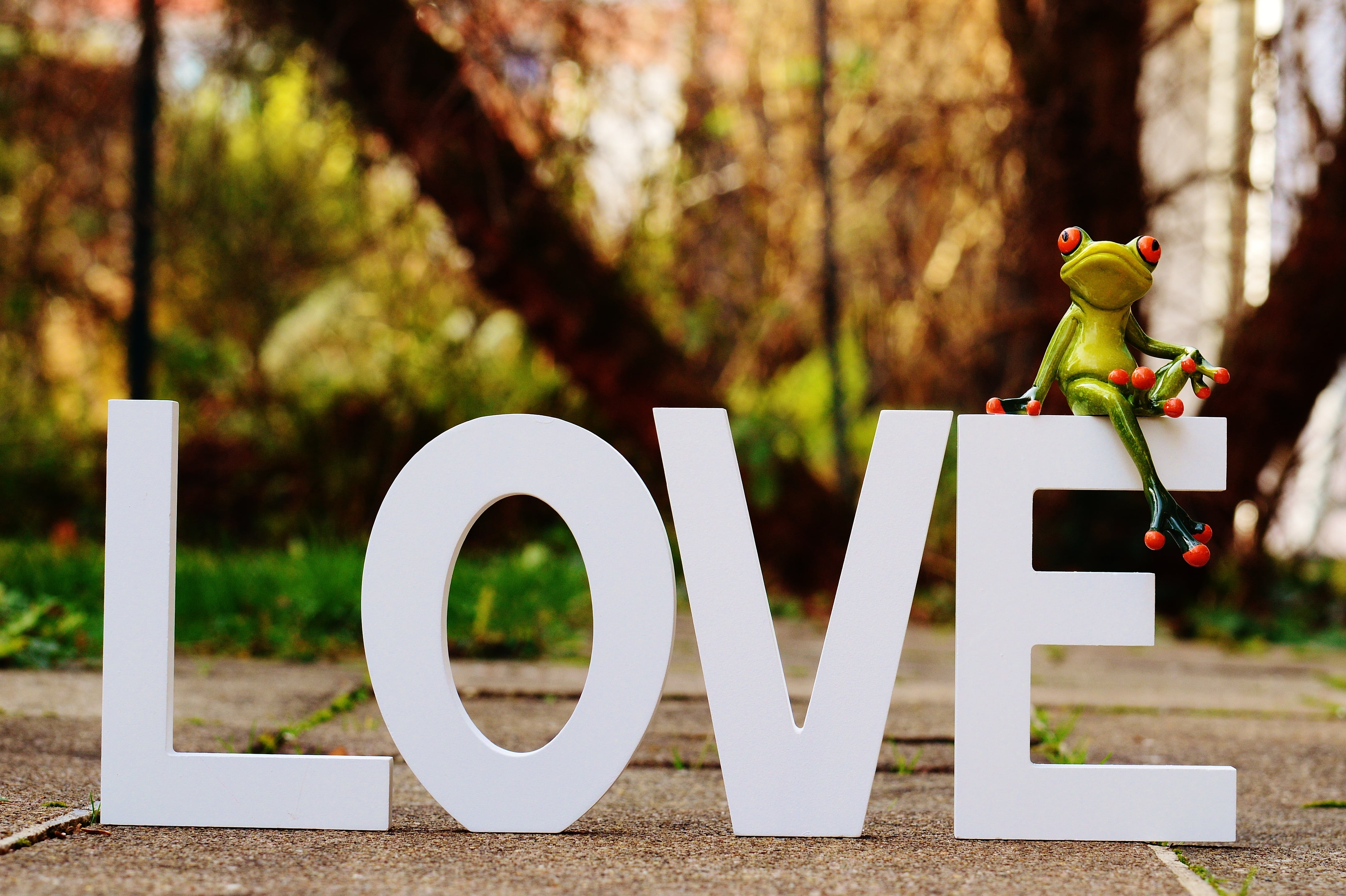 tree, toy, figurine, outdoors, art and craft, plant, valentines day, heart, lettering, representation, greeting card, human representation, cute, love, HD Wallpaper