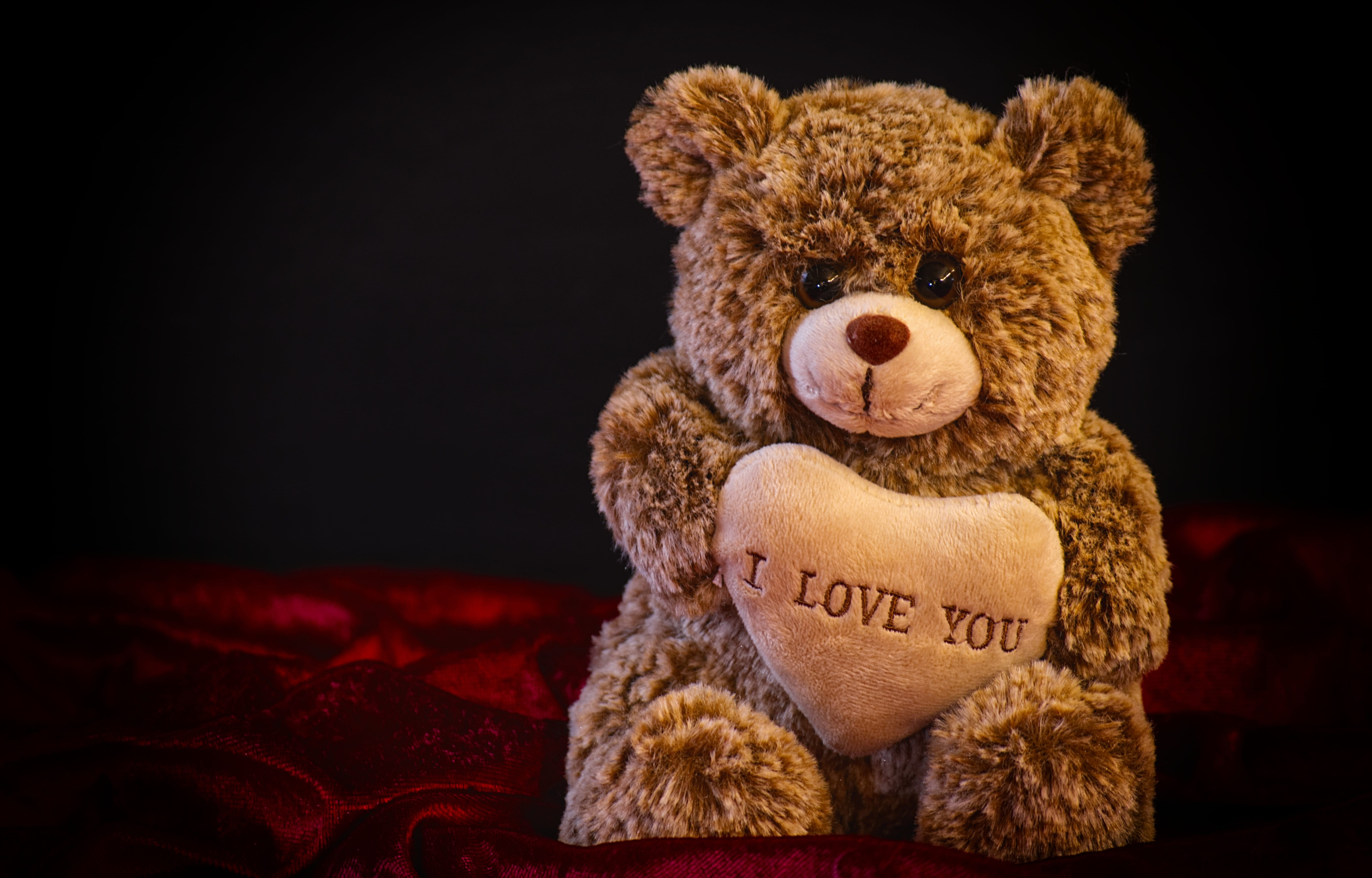 love, stuffed animal, indoors, soft toy, animal representation, brown, toy, softness, black background, close-up, 5K, valentines day, cute, communication, HD Wallpaper