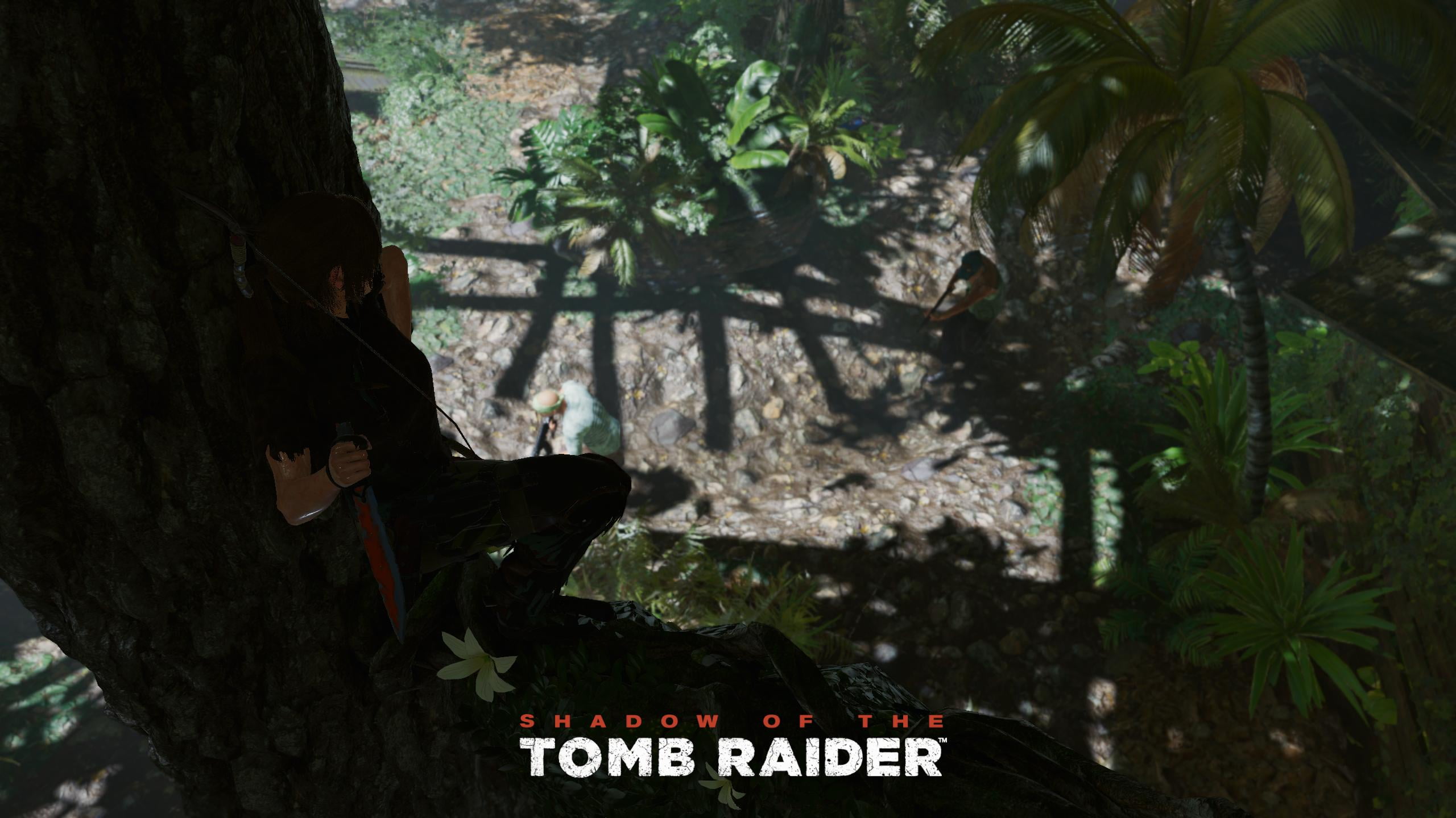 sign, nature, text, western script, forest, tree, information, plant, tree trunk, growth, real people, Tomb Raider, trunk, day, 2K, Shadow of the Tomb Raider, HD Wallpaper
