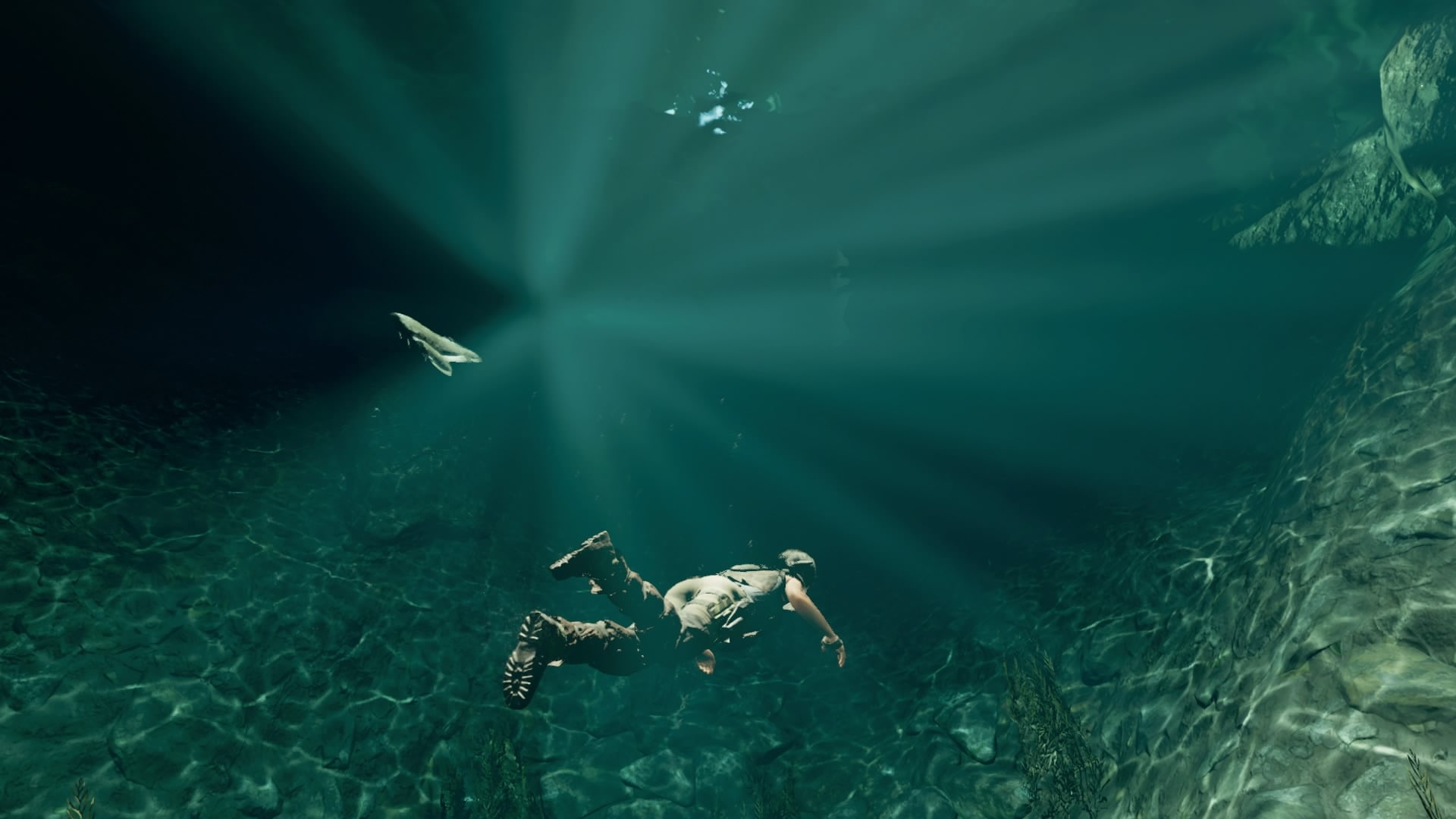 turquoise colored, vertebrate, animal themes, animal, group of animals, undersea, adventure, Shadow of the Tomb Raider, sea, 1080P, one person, real people, HD Wallpaper