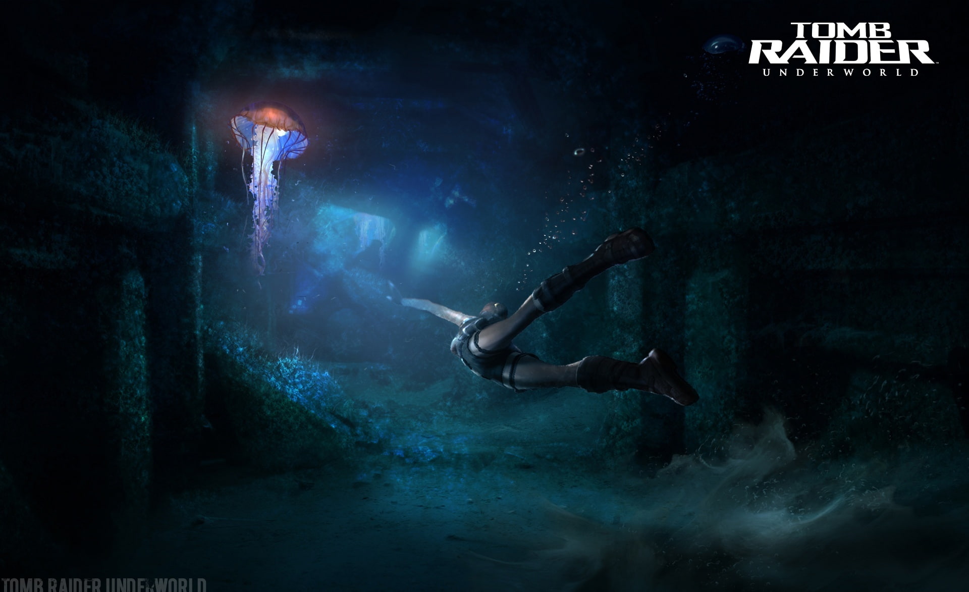 one person, tomb raider underworld, full length, young adult, underworld, raider, sport, back lit, adventure, competition, underwater, light - natural phenomenon, HD Wallpaper
