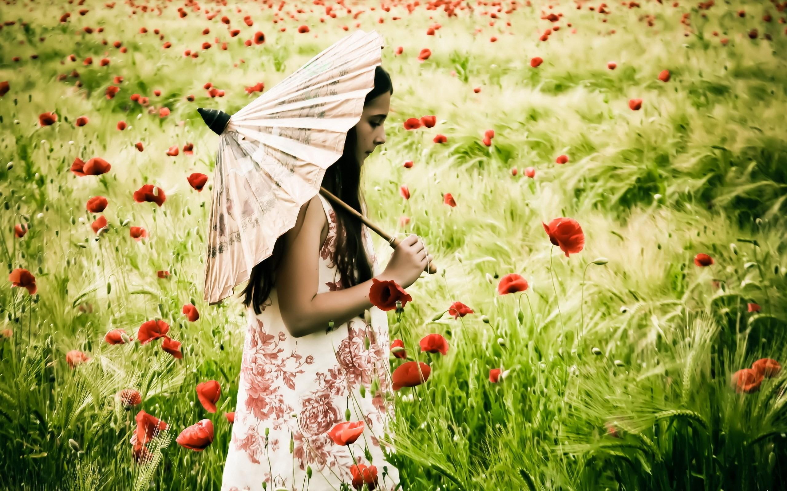 2K, white, mood, poppies, oil, umbrella, field, girl, paper, HD Wallpaper