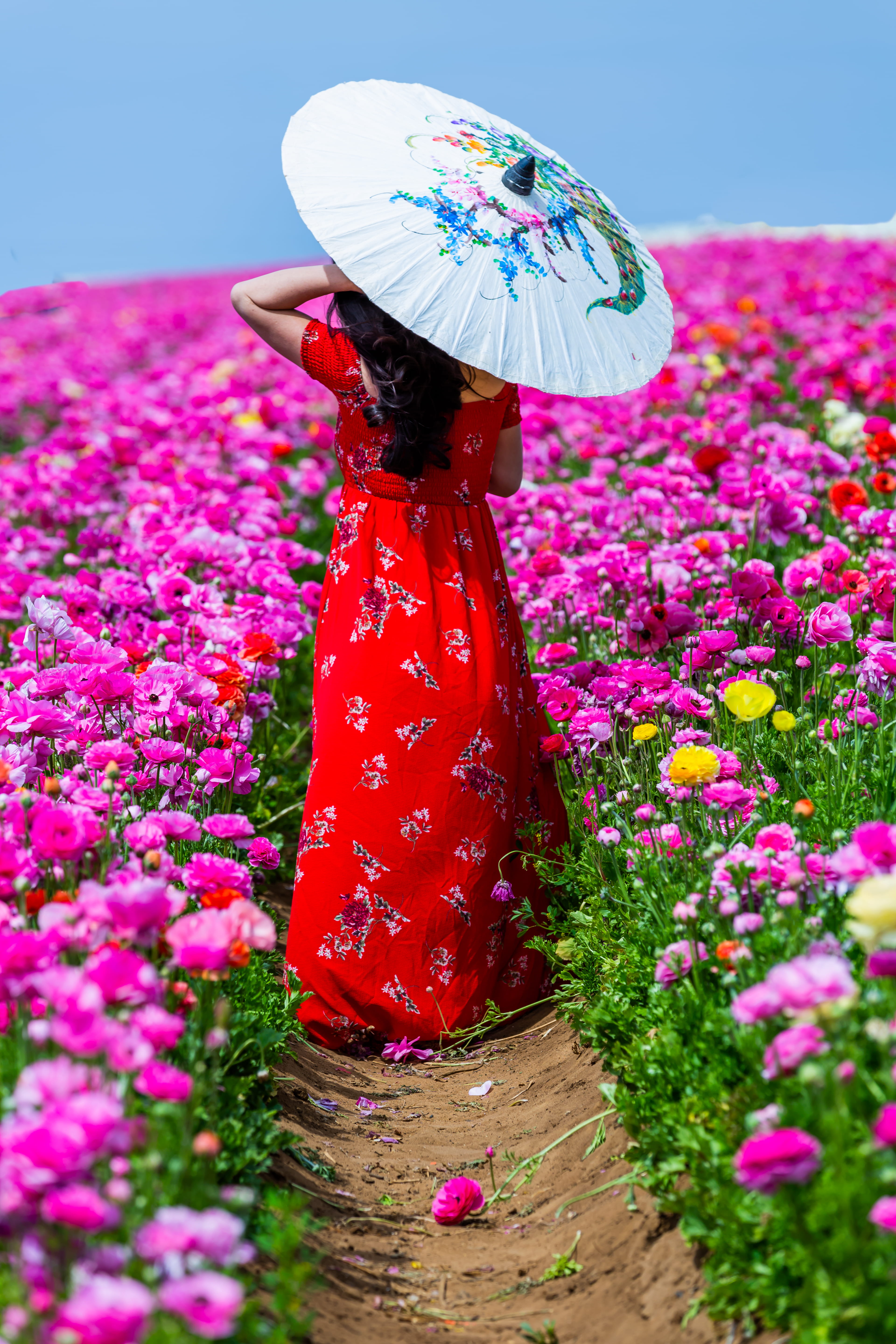 oil, field, bright, sunlight, vulnerability, growth, women, woman, plant, outdoors, standing, using, flower, 5K, freshness, flowering plant, flower head, Phone HD Wallpaper