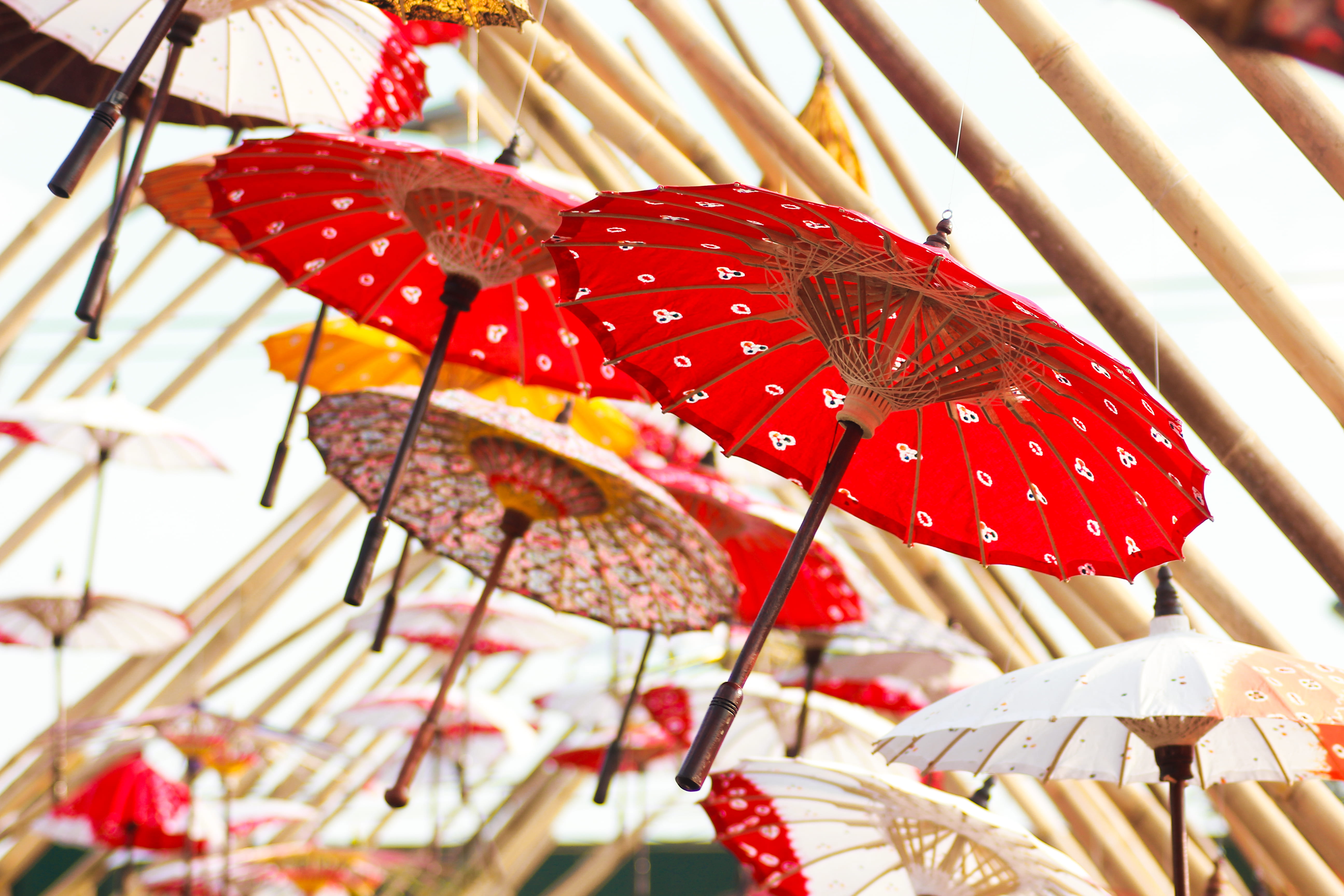 electric lamp, no people, craft, hanging, oil, hanged, photo, protection, hanging parasol, paper, closeup, event, pattern, day, building, 5K, art and craft, HD Wallpaper