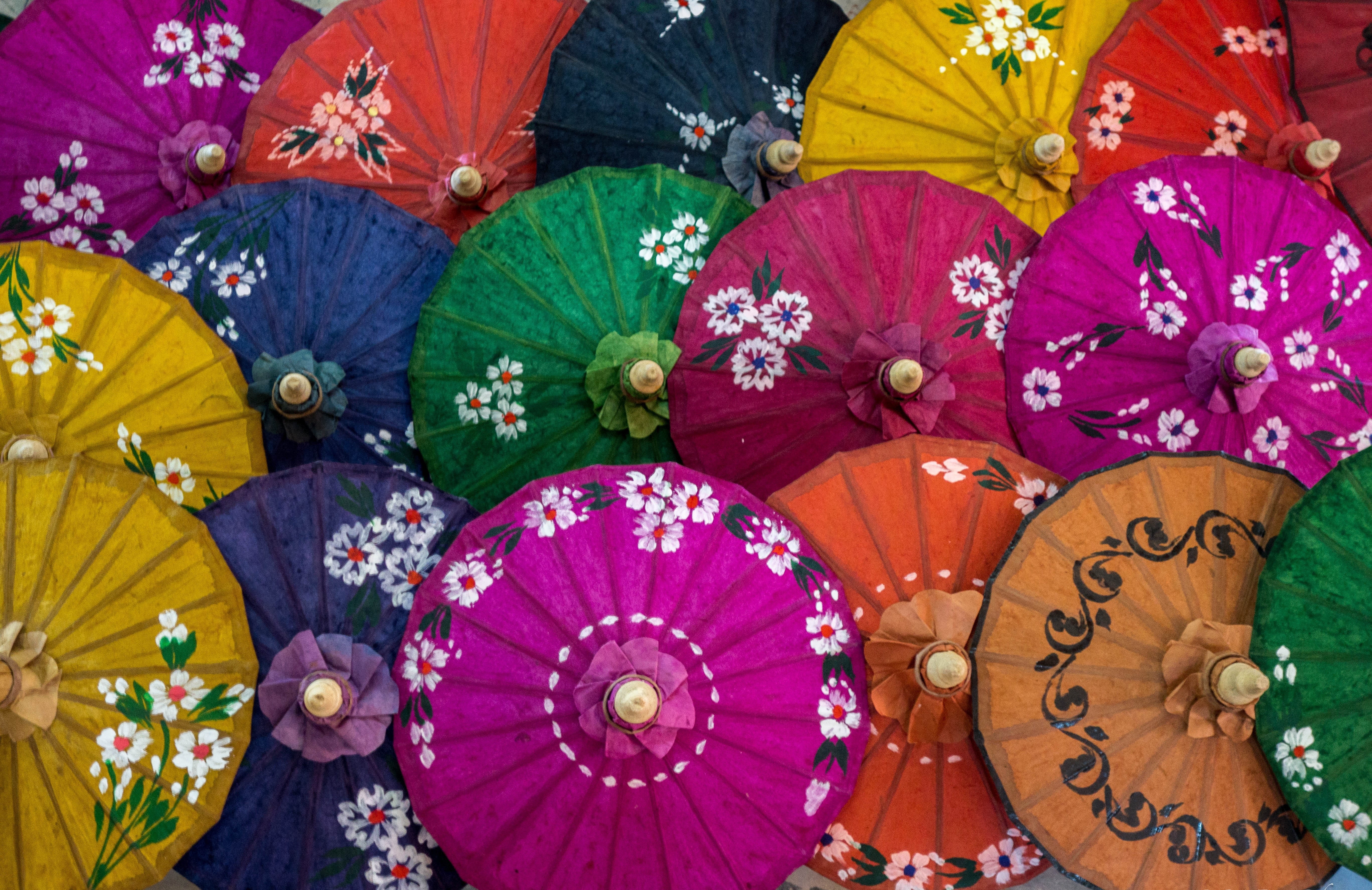 flowering plant, umbrella, flower, craft, variation, market, retail, close-up, oil, arrangement, color, art, multi colored, lot, floral pattern, 5K, decoration, HD Wallpaper