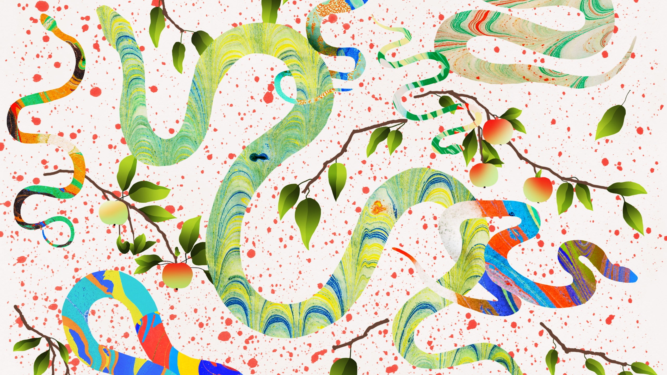 food and drink, snake, colorful, studio shot, paint, branch, animals, apples, no people, science, floral pattern, paint splatter, 2K, backgrounds, full frame, HD Wallpaper