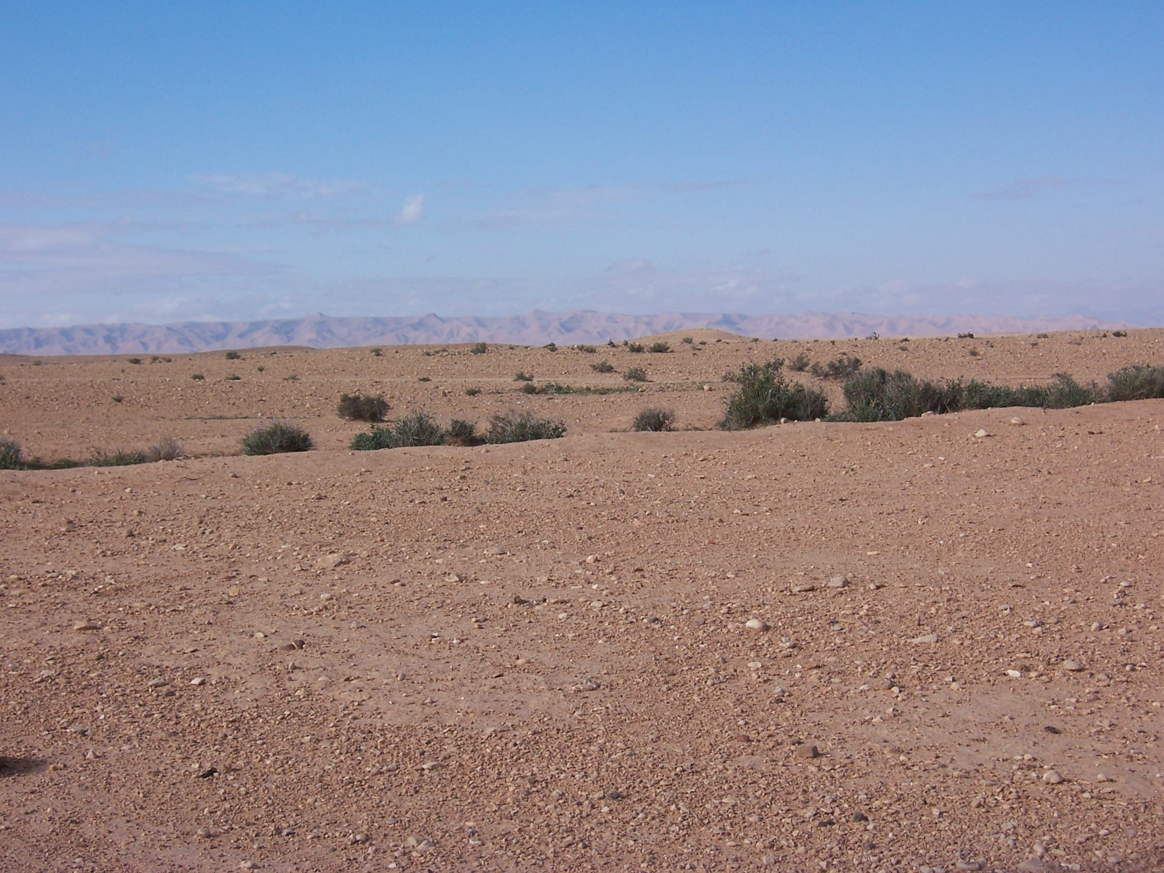 dead, blue, drought, no People, plain, green, rough, plant, africa, hot, environment, outdoor, Rustic, Landscape, day, arid climate, sand, scenics - nature, HD Wallpaper