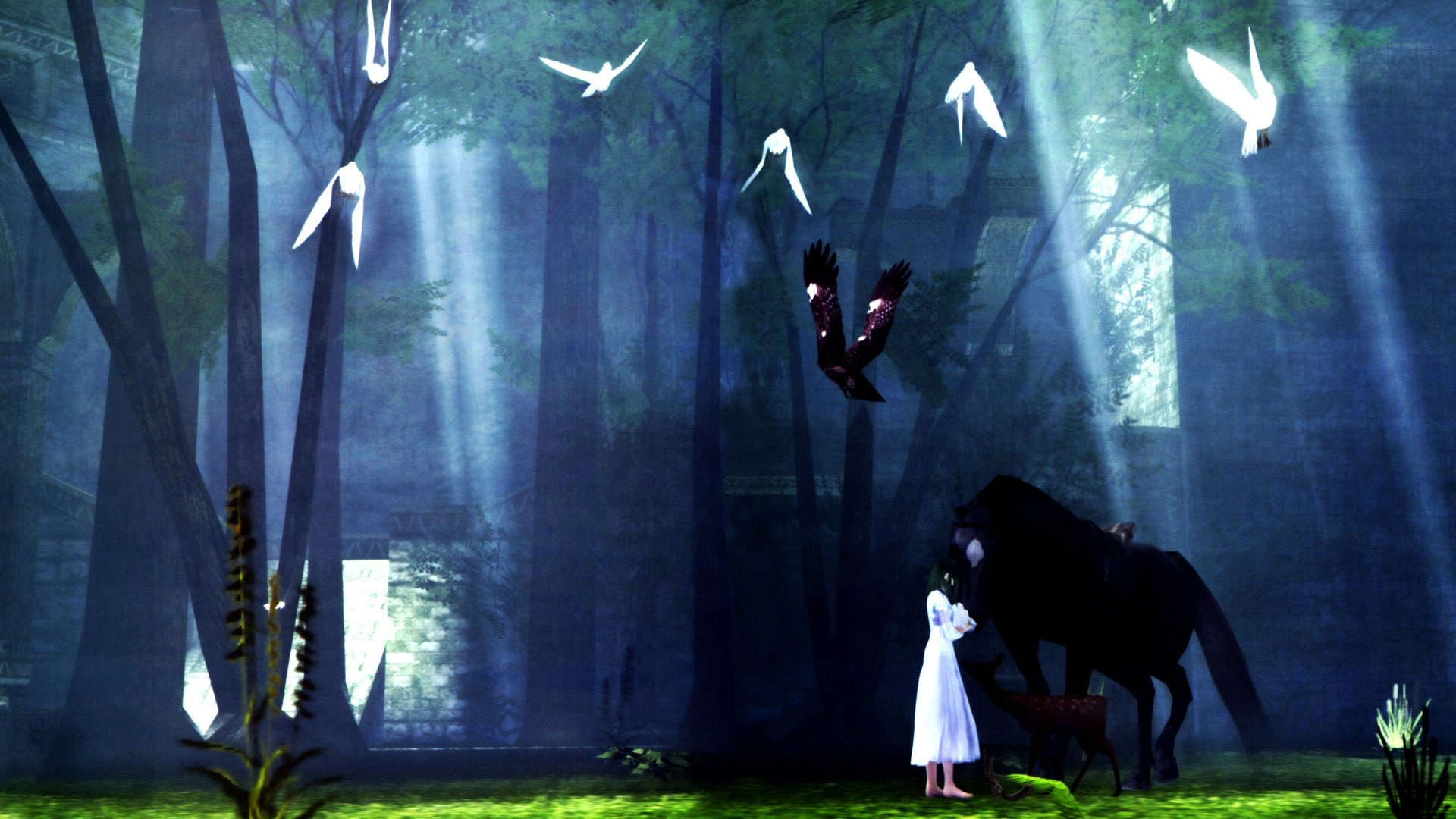 Video Game, Shadow Of The Colossus, 1080P, HD Wallpaper