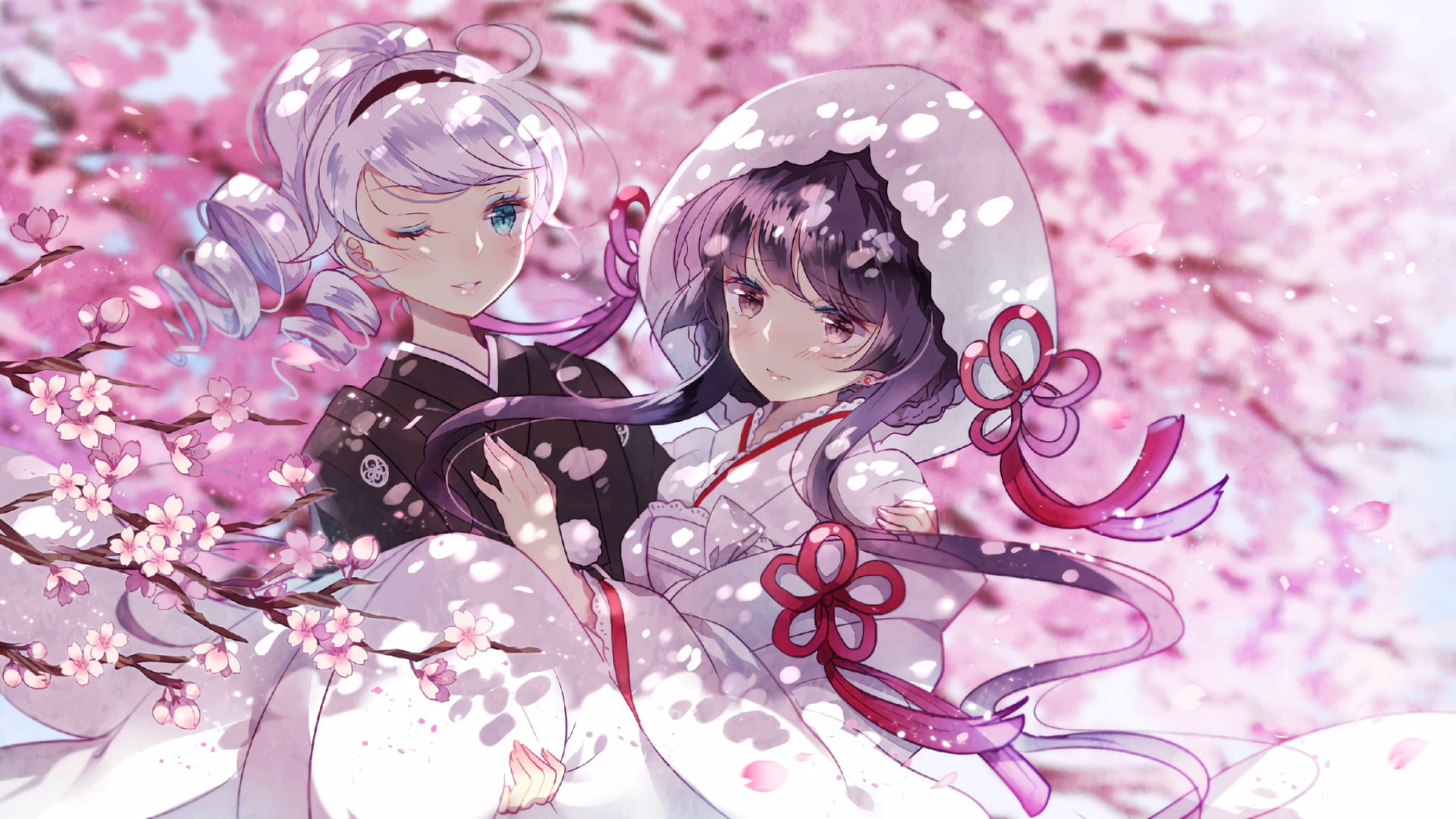 Raiden Mei, Kiana Kaslana, Anime, 1080P, Benghuai Xueyuan, HD Wallpaper