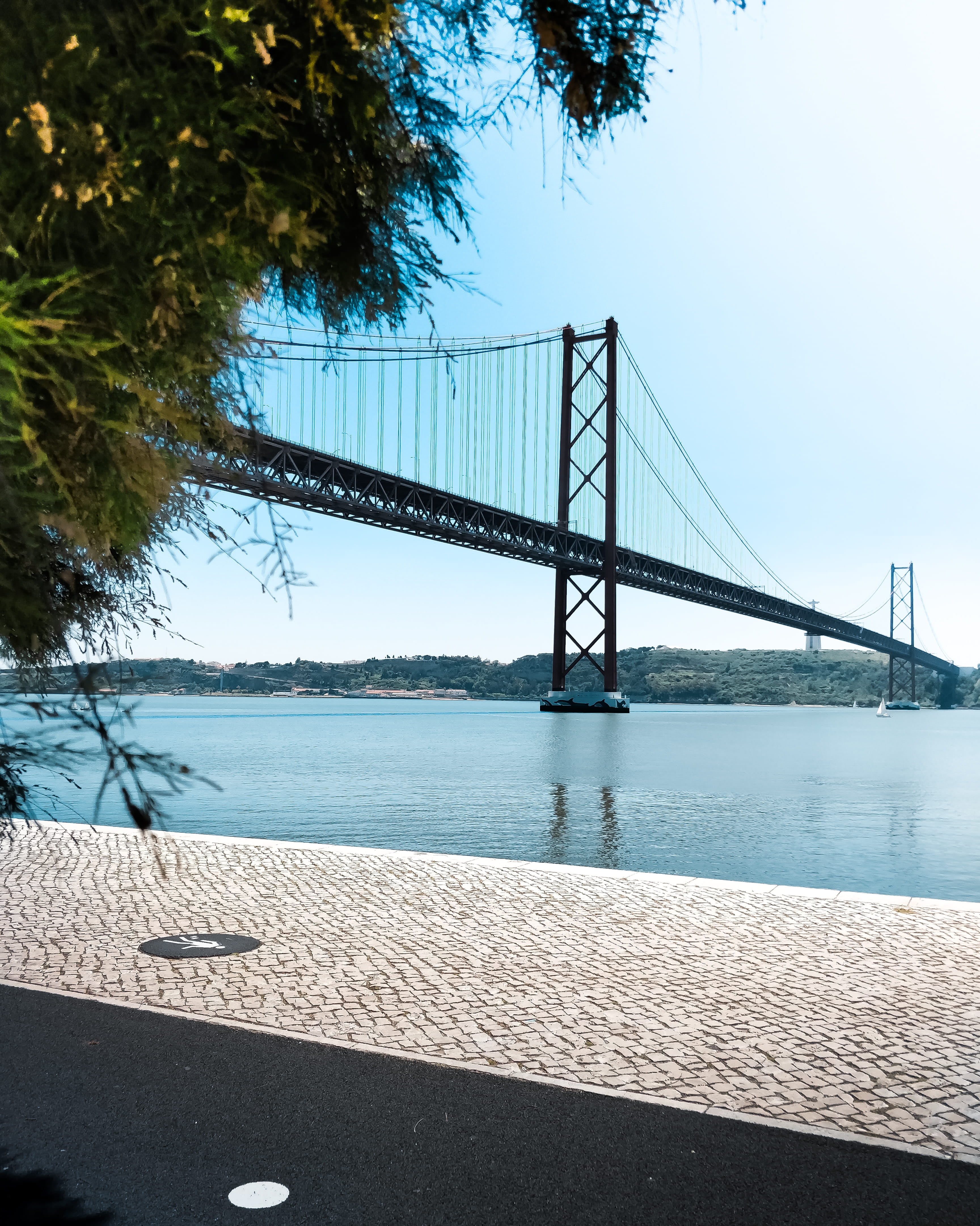 plant, architecture, engineering, sky, nature, built structure, bay, 25th april bridge, river, 4K, day, transportation, outdoors, travel destinations, Phone HD Wallpaper